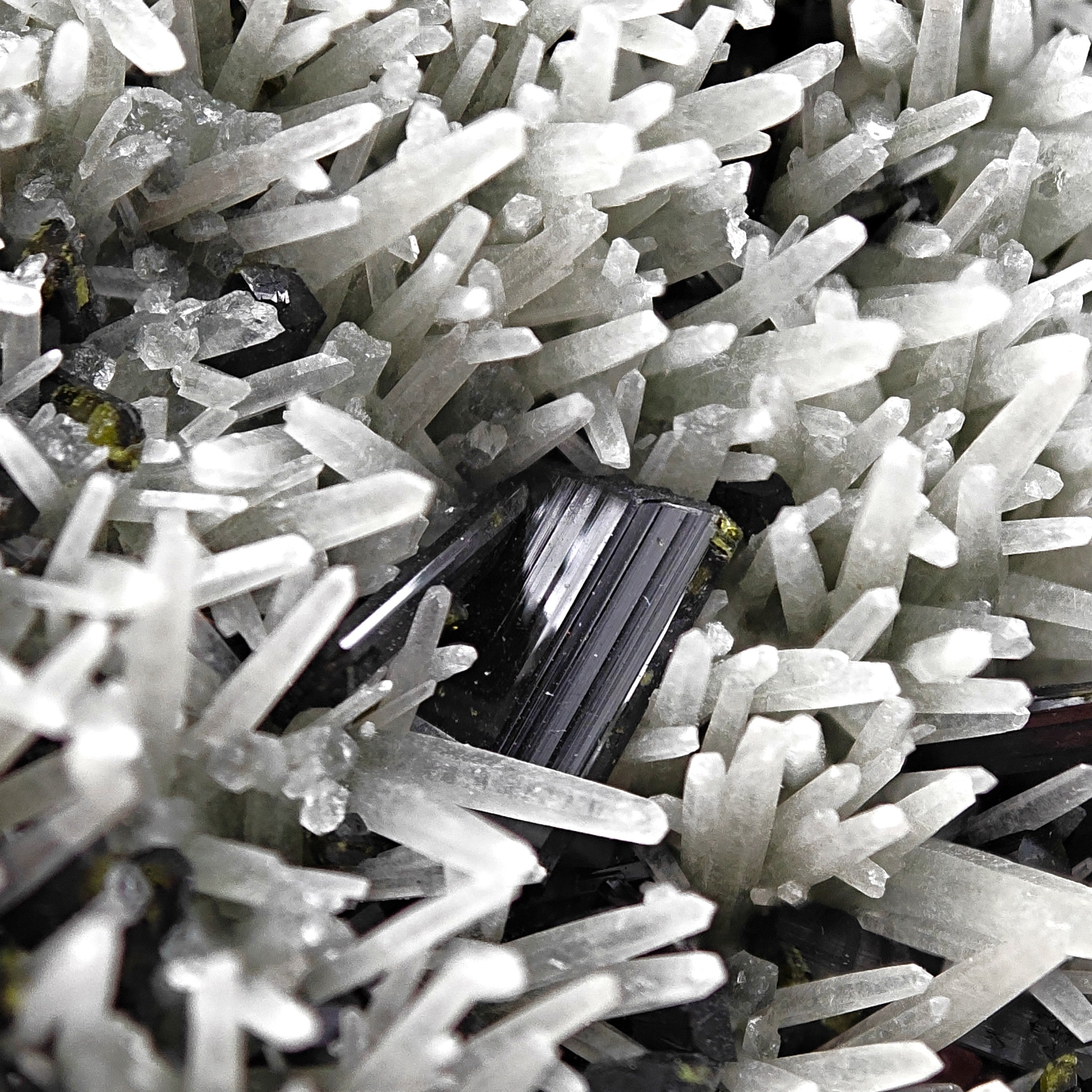 EPIDOTE & PRASE QUARTZ – Shiny Green Crystals from Khowrin Mountain, Iran