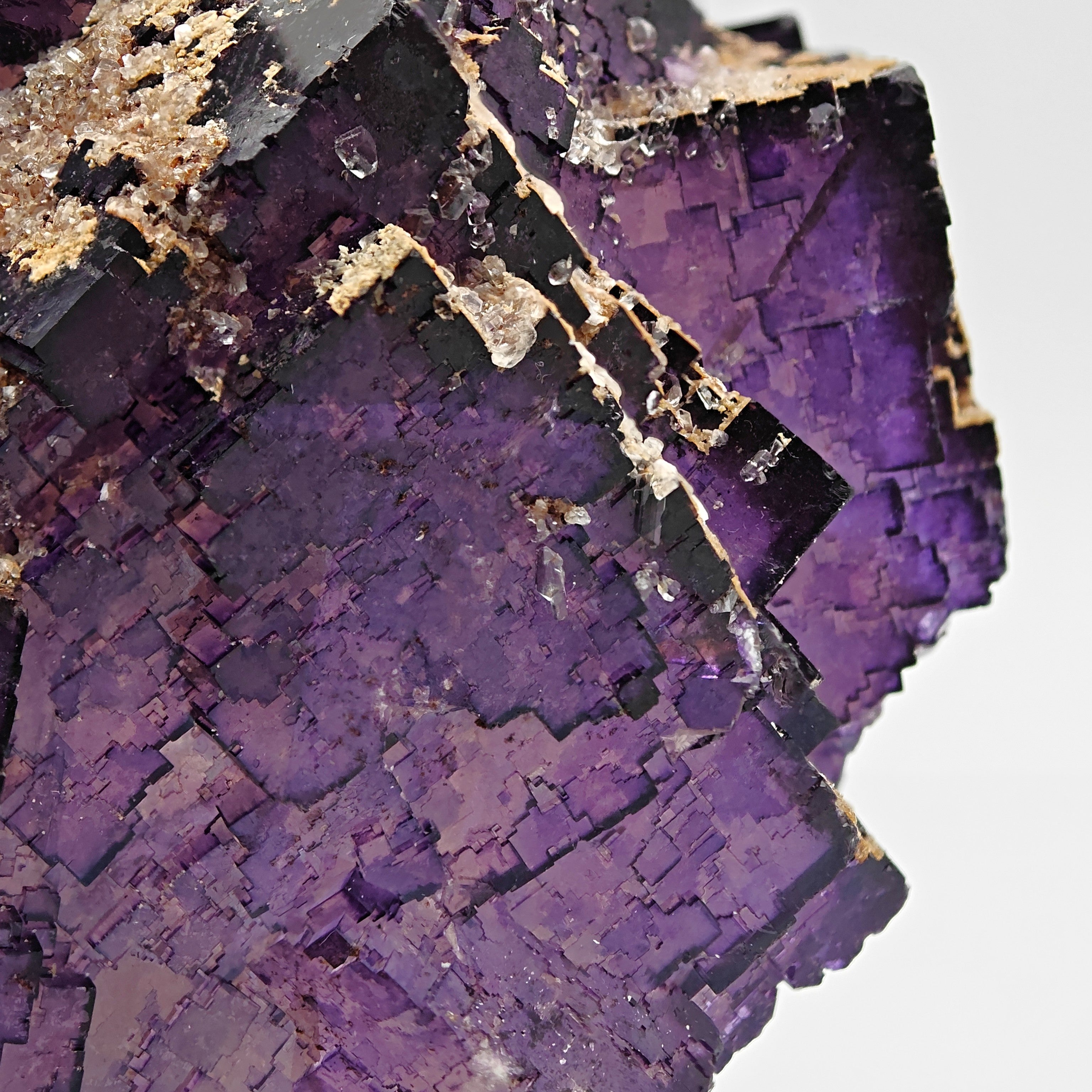 FLUORITE – Deep Purple Cubic Crystals, Esperanza Mine, Coahuila, Mexico