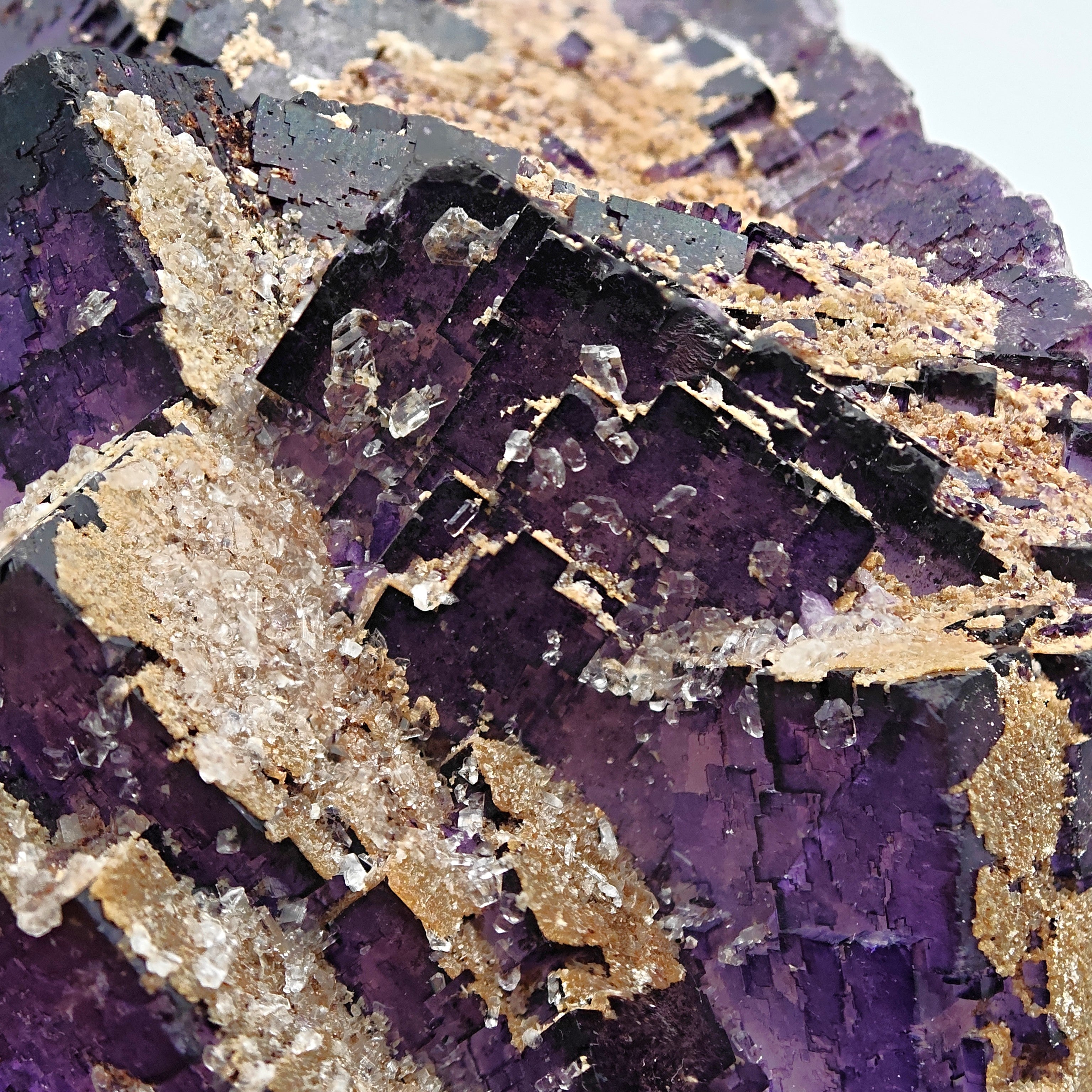 FLUORITE – Deep Purple Cubic Crystals, Esperanza Mine, Coahuila, Mexico