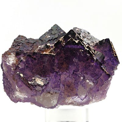 Full view of fluorite specimen on matrix, Esperanza Mine, Coahuila