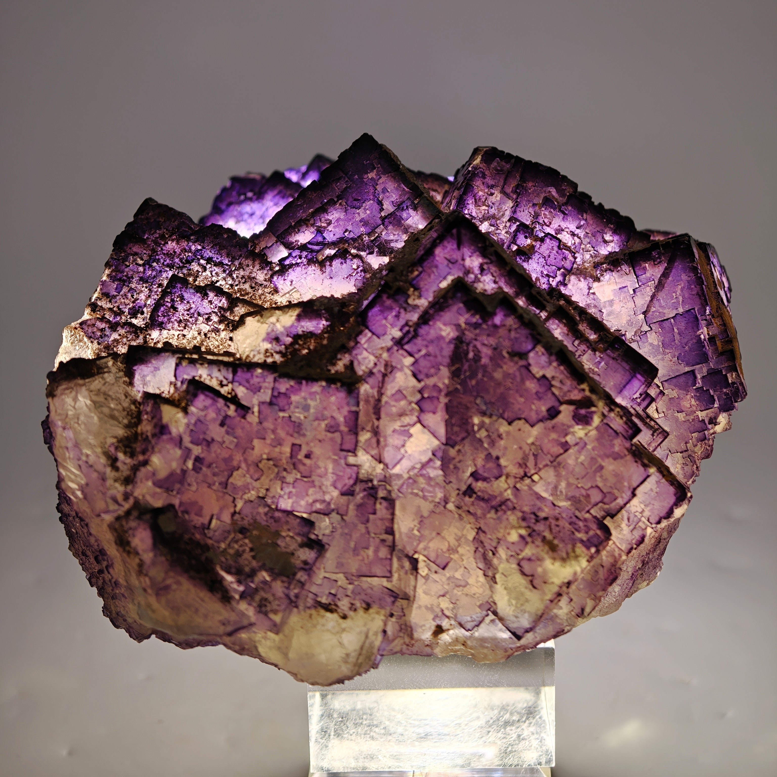 FLUORITE – Deep Purple Cubic Crystals, Esperanza Mine, Coahuila, Mexico