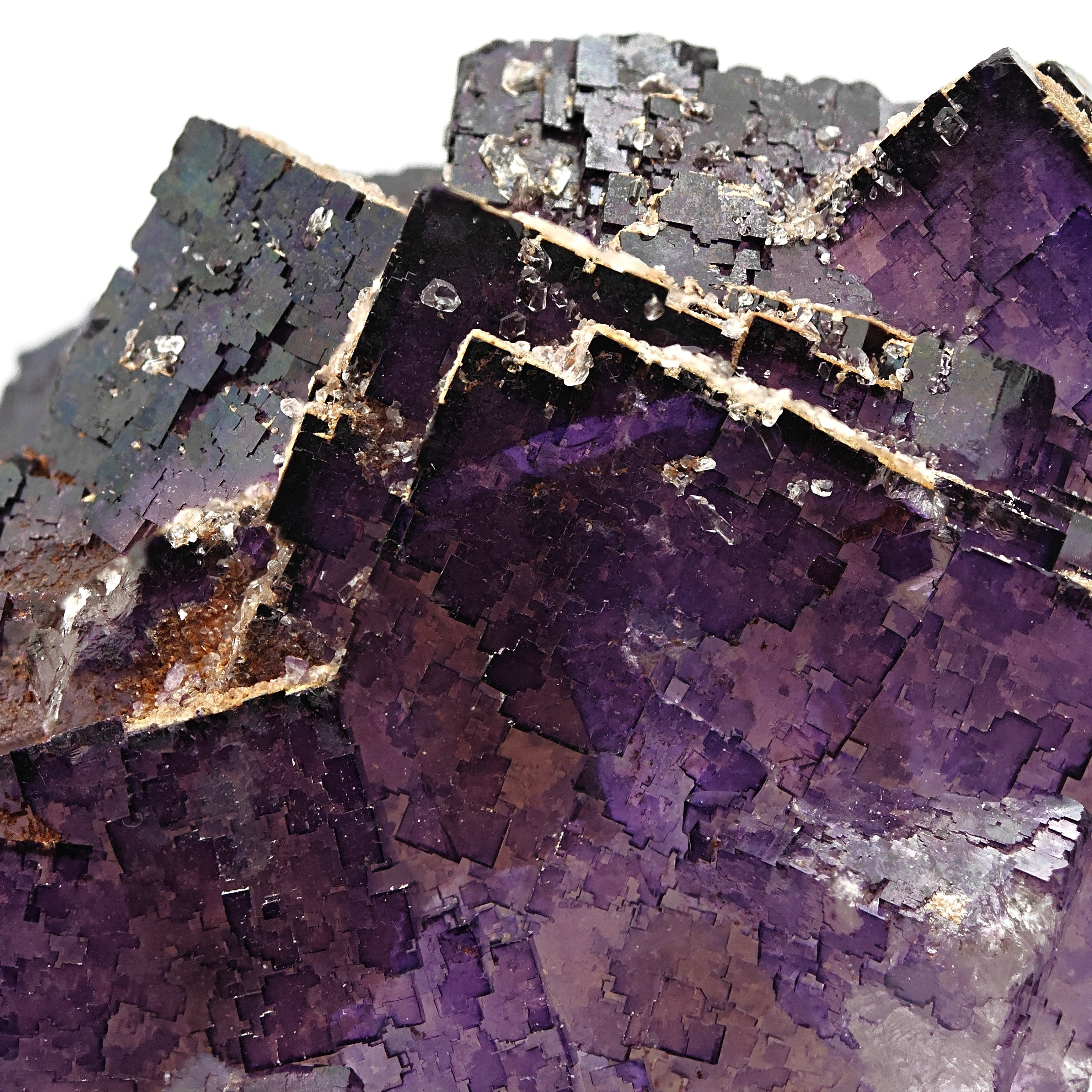 FLUORITE – Deep Purple Cubic Crystals, Esperanza Mine, Coahuila, Mexico