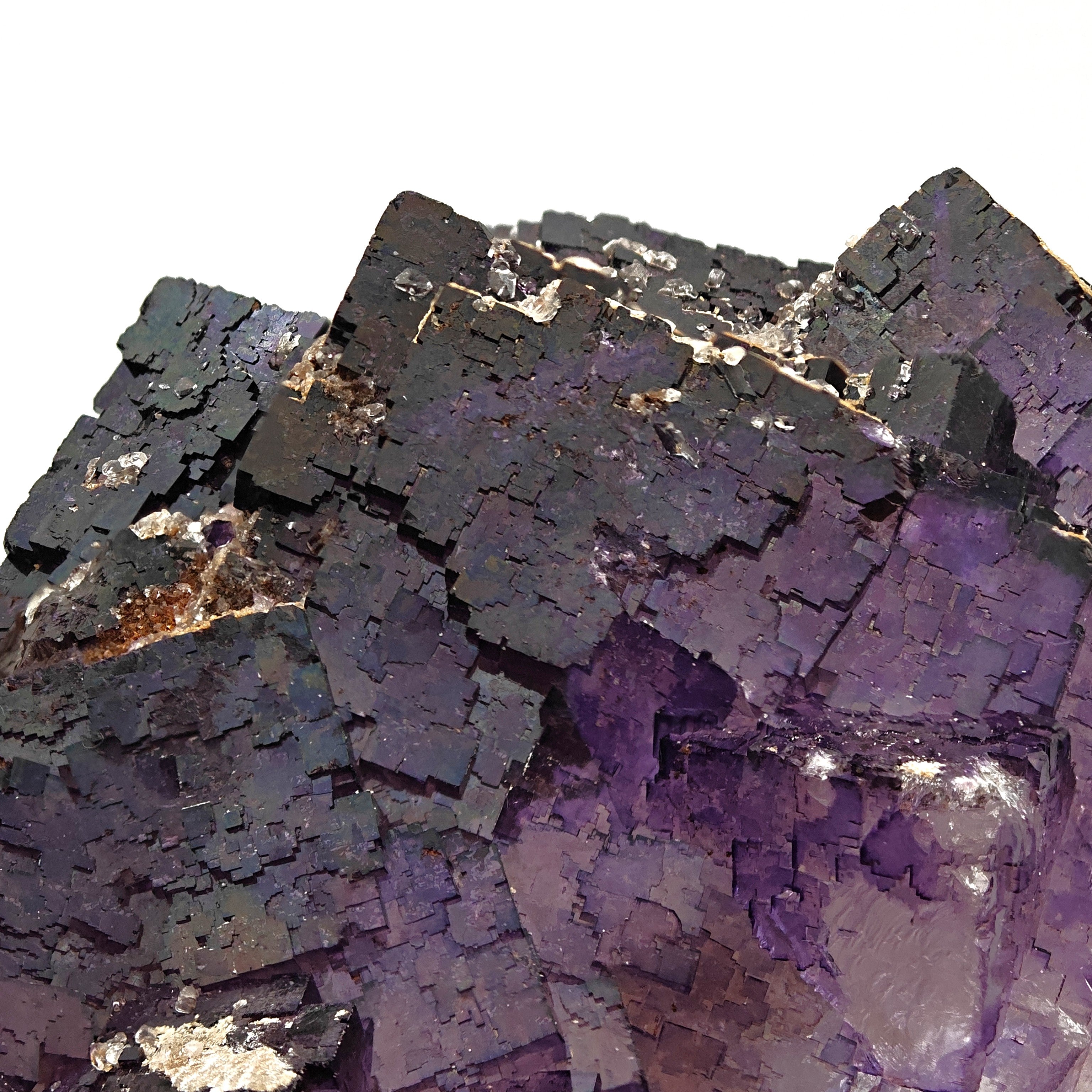 FLUORITE – Deep Purple Cubic Crystals, Esperanza Mine, Coahuila, Mexico