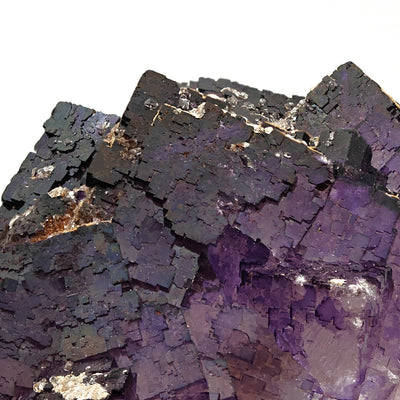 Close-up of dark purple fluorite crystals with quartz druse, Muzquiz
