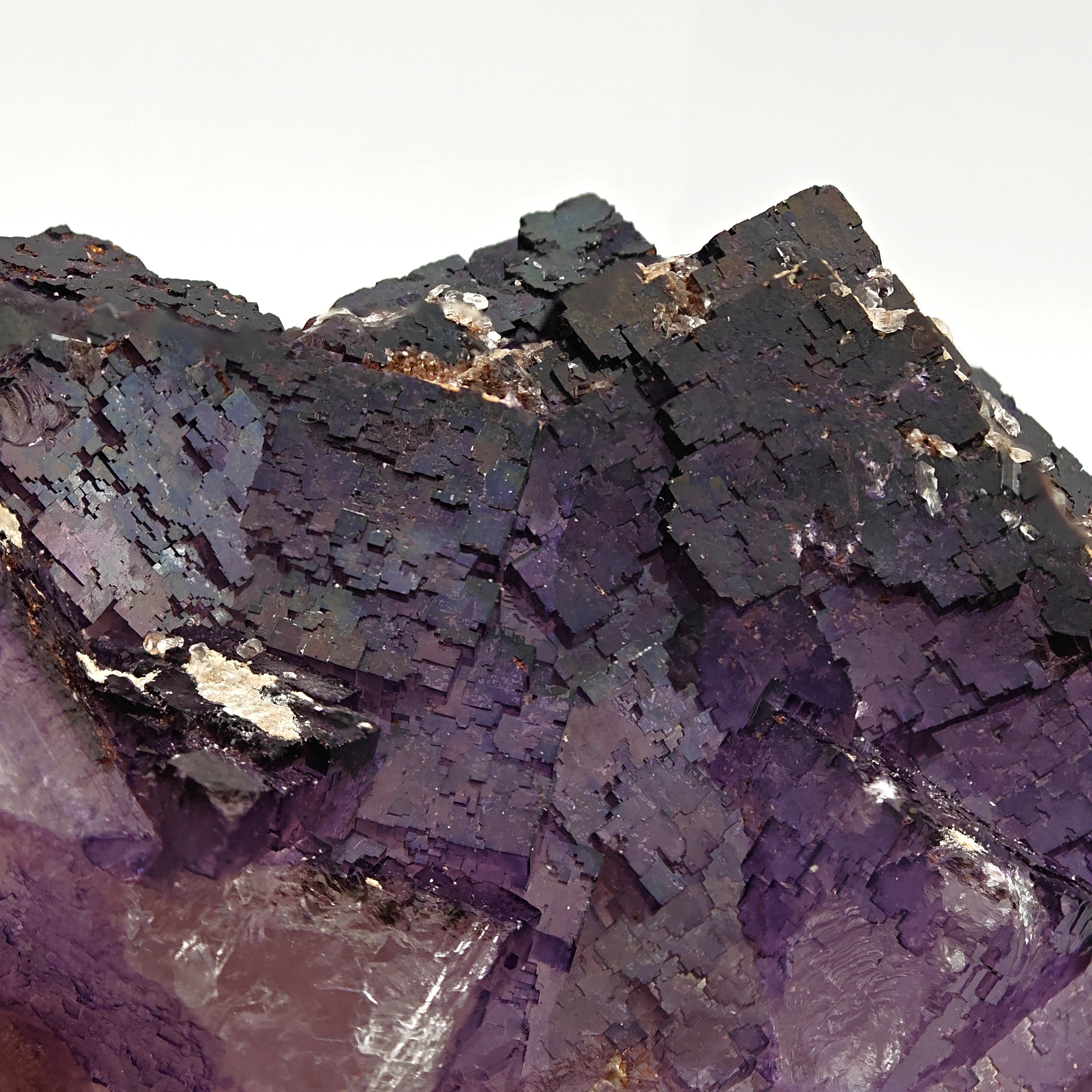 FLUORITE – Deep Purple Cubic Crystals, Esperanza Mine, Coahuila, Mexico