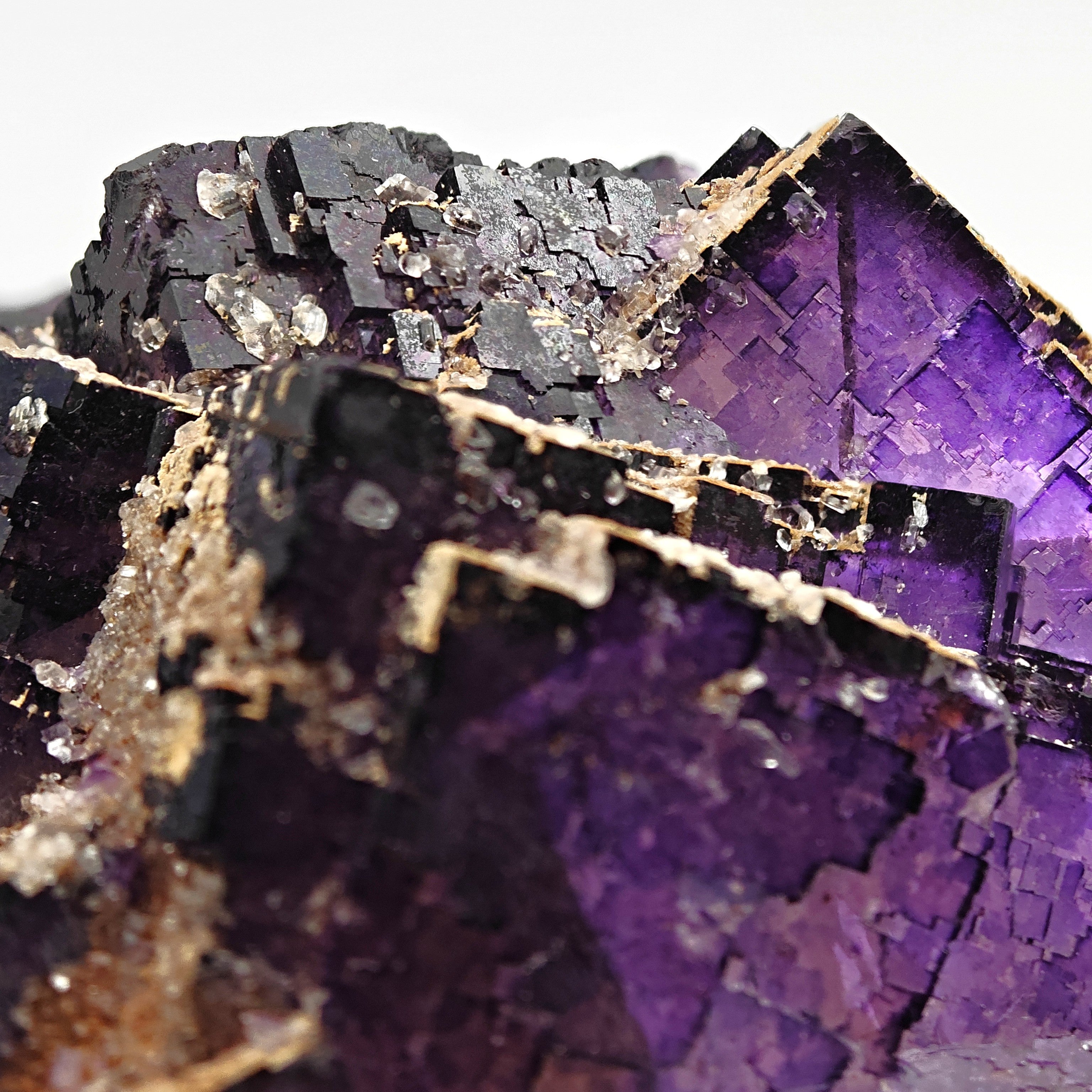 FLUORITE – Deep Purple Cubic Crystals, Esperanza Mine, Coahuila, Mexico