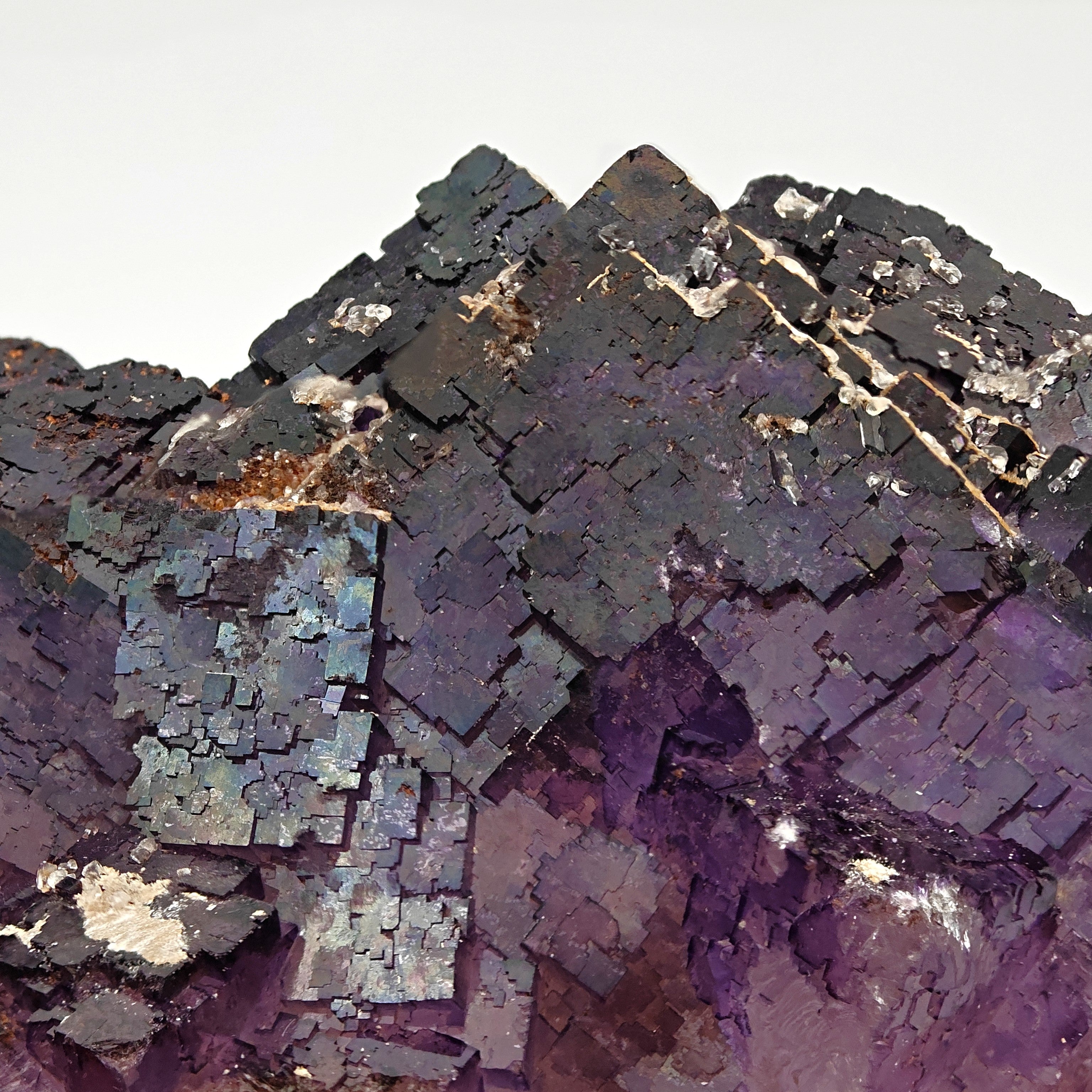 FLUORITE – Deep Purple Cubic Crystals, Esperanza Mine, Coahuila, Mexico