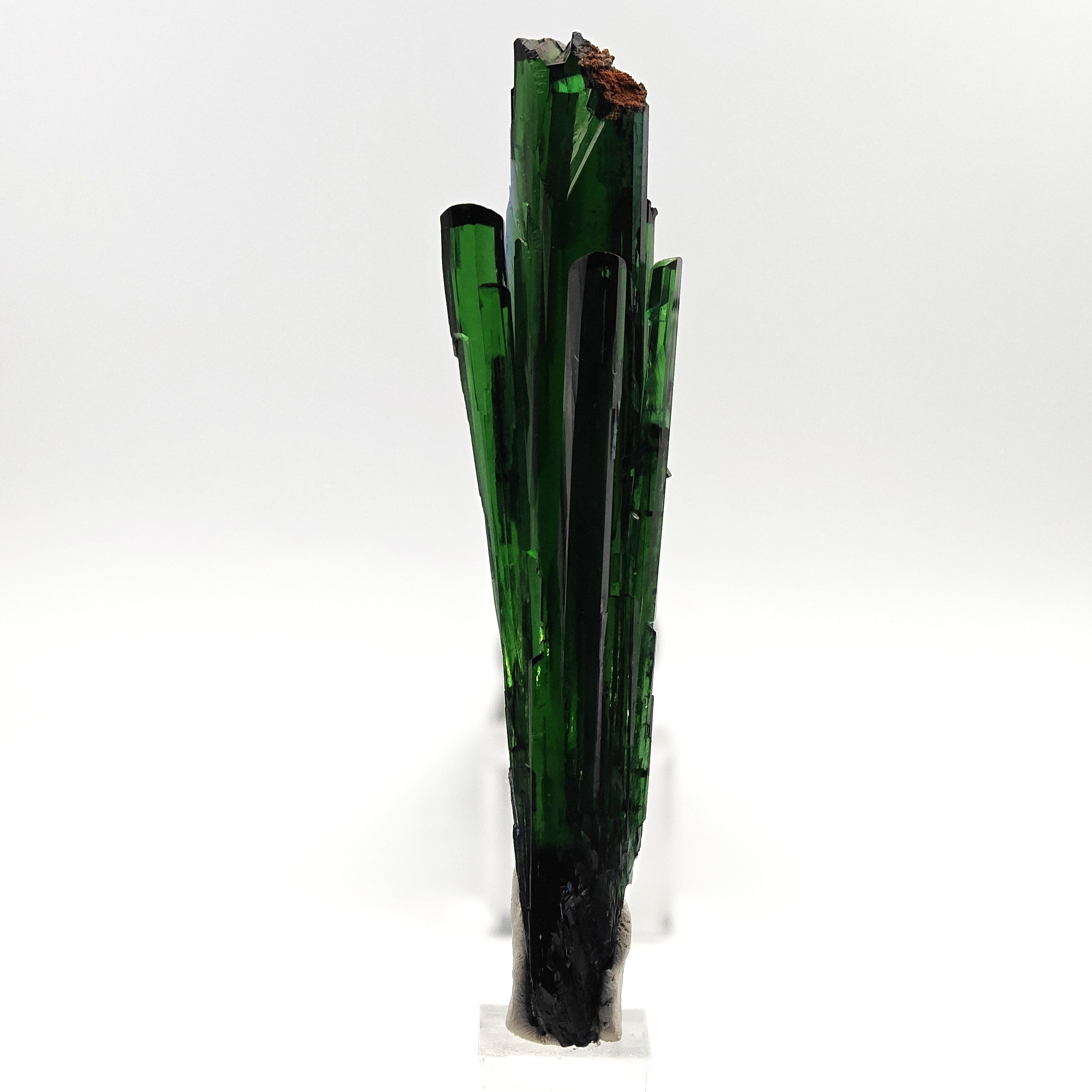 VIVIANITE – Deep Green 14cm Crystal, São Gabriel da Cachoeira, Brazil