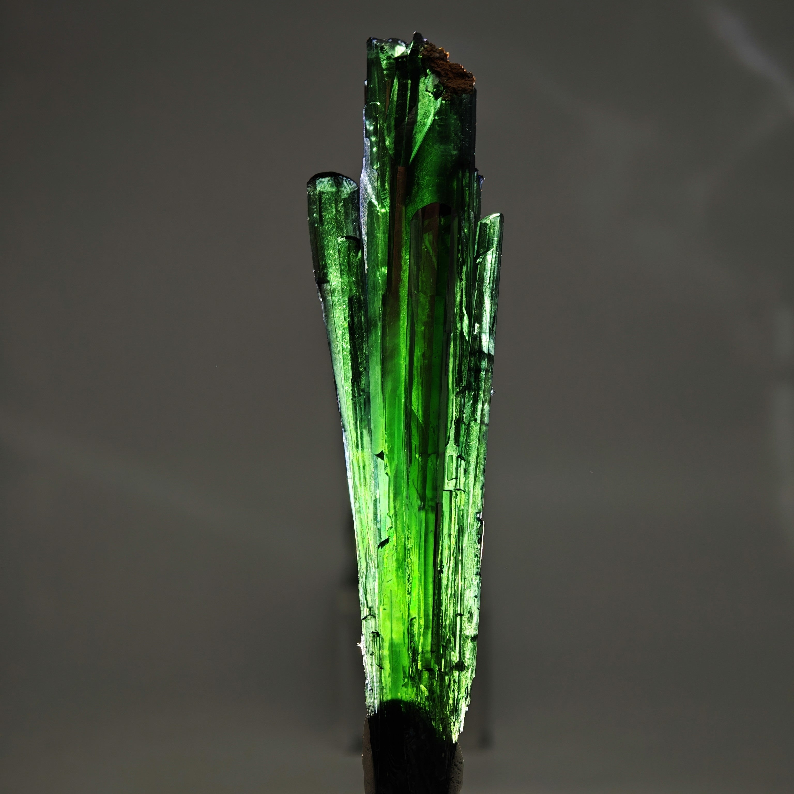 VIVIANITE – Deep Green 14cm Crystal, São Gabriel da Cachoeira, Brazil