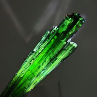 VIVIANITE – Deep Green 14cm Crystal, São Gabriel da Cachoeira, Brazil