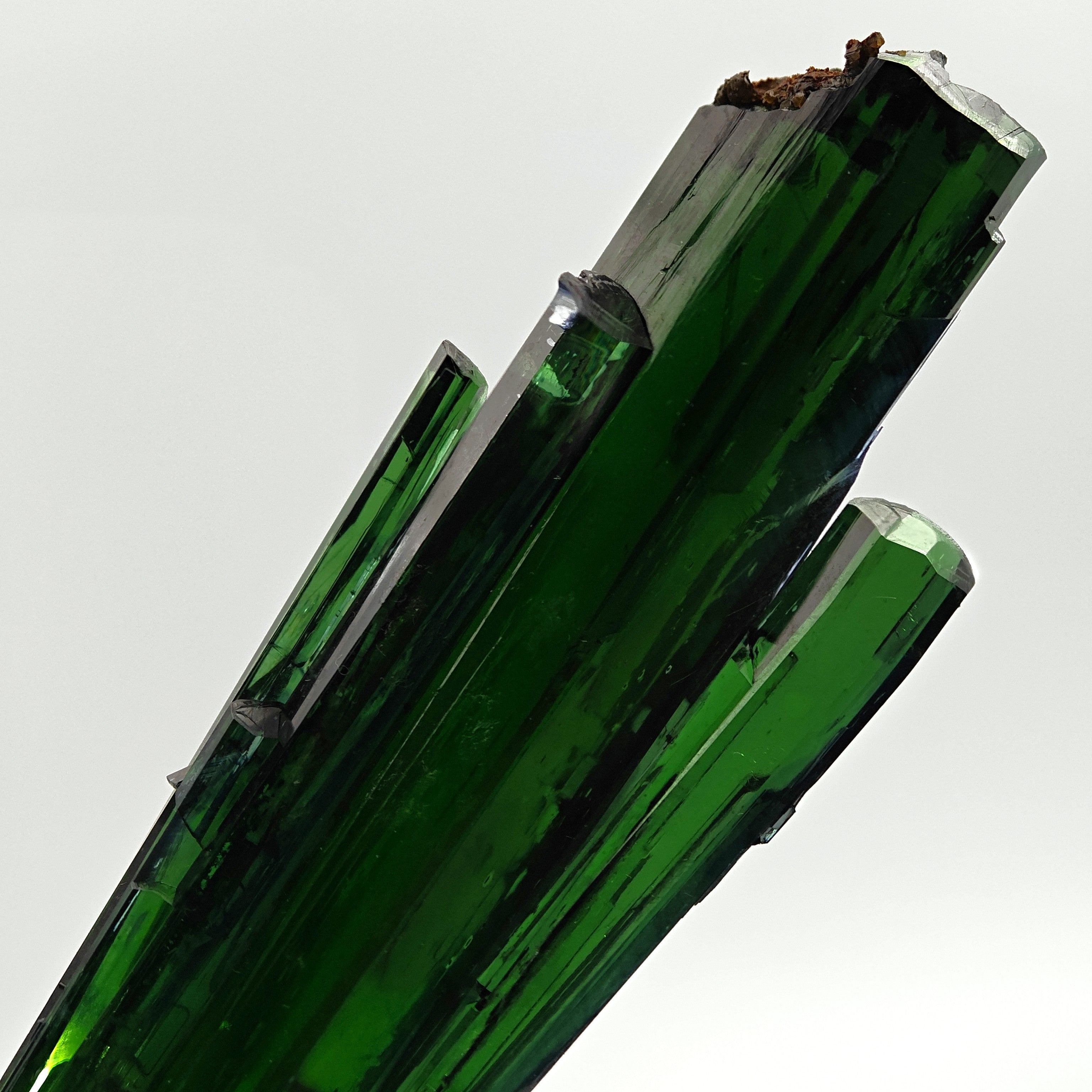 VIVIANITE – Deep Green 14cm Crystal, São Gabriel da Cachoeira, Brazil