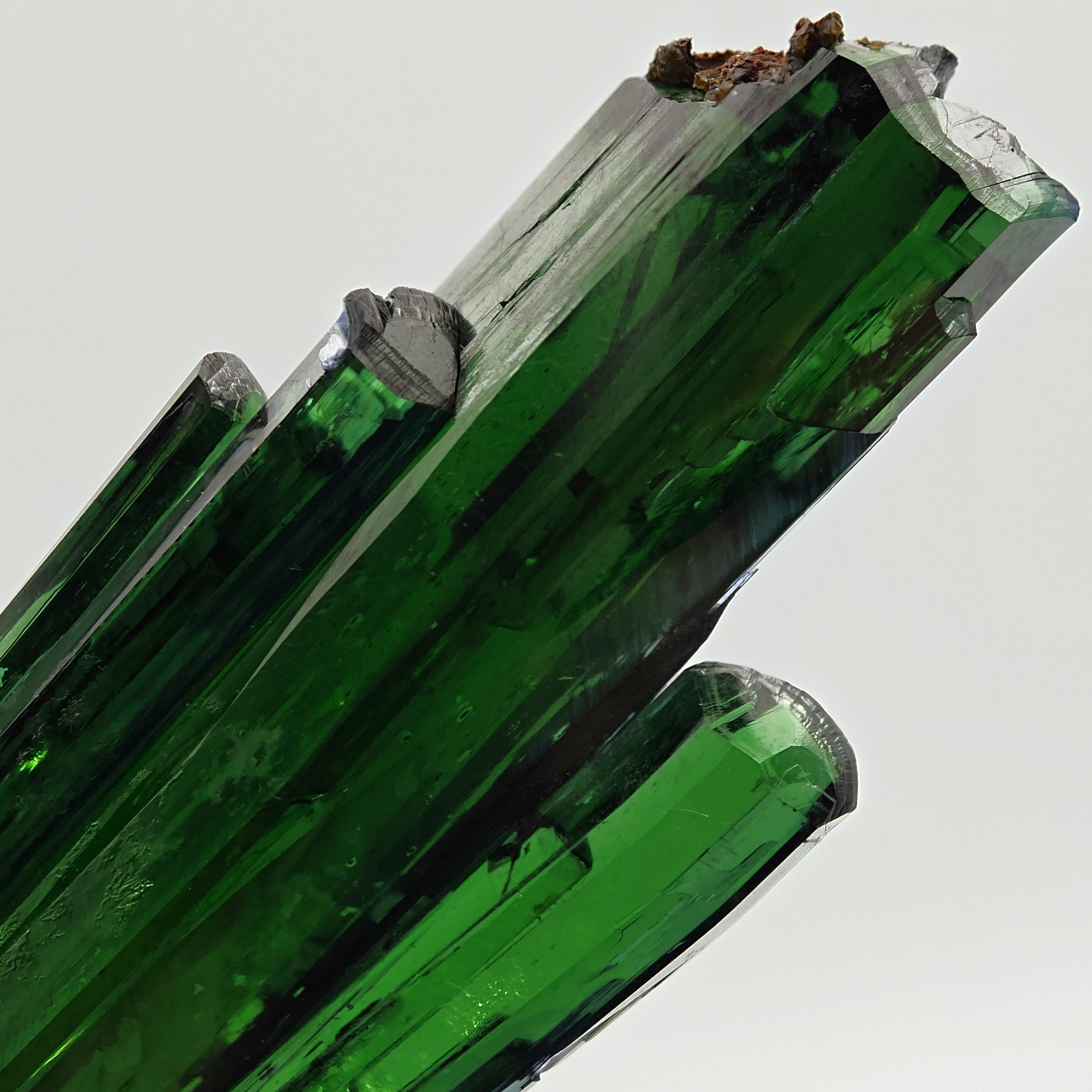 VIVIANITE – Deep Green 14cm Crystal, São Gabriel da Cachoeira, Brazil