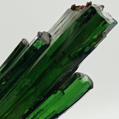Close-up of vivianite crystal tip with brown matrix and sharp terminations, São Gabriel da Cachoeira, Brazil