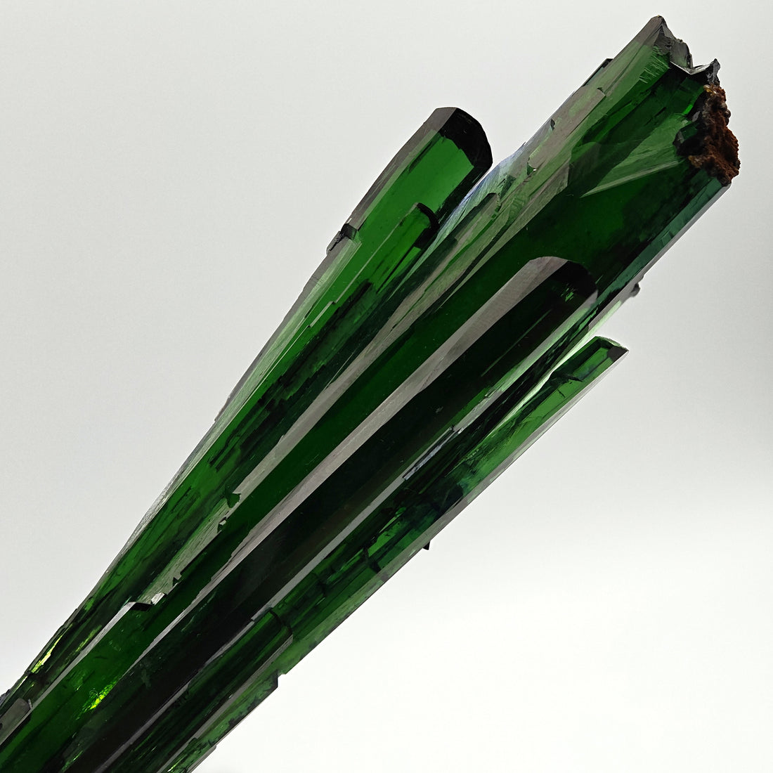 VIVIANITE – Deep Green 14cm Crystal, São Gabriel da Cachoeira, Brazil