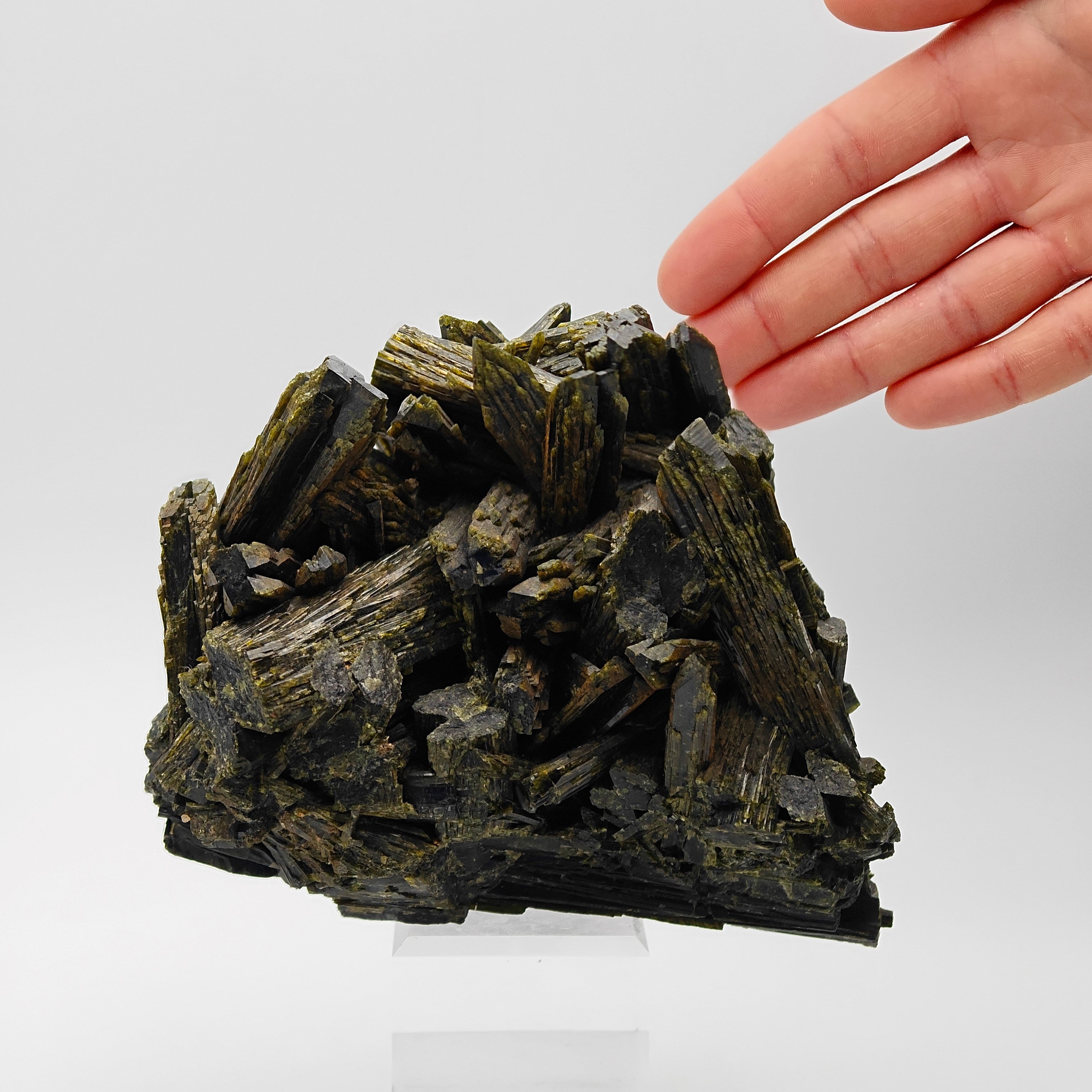 EPIDOTE  – Giant Lance Shaped Crystals from Quetta, Pakistan