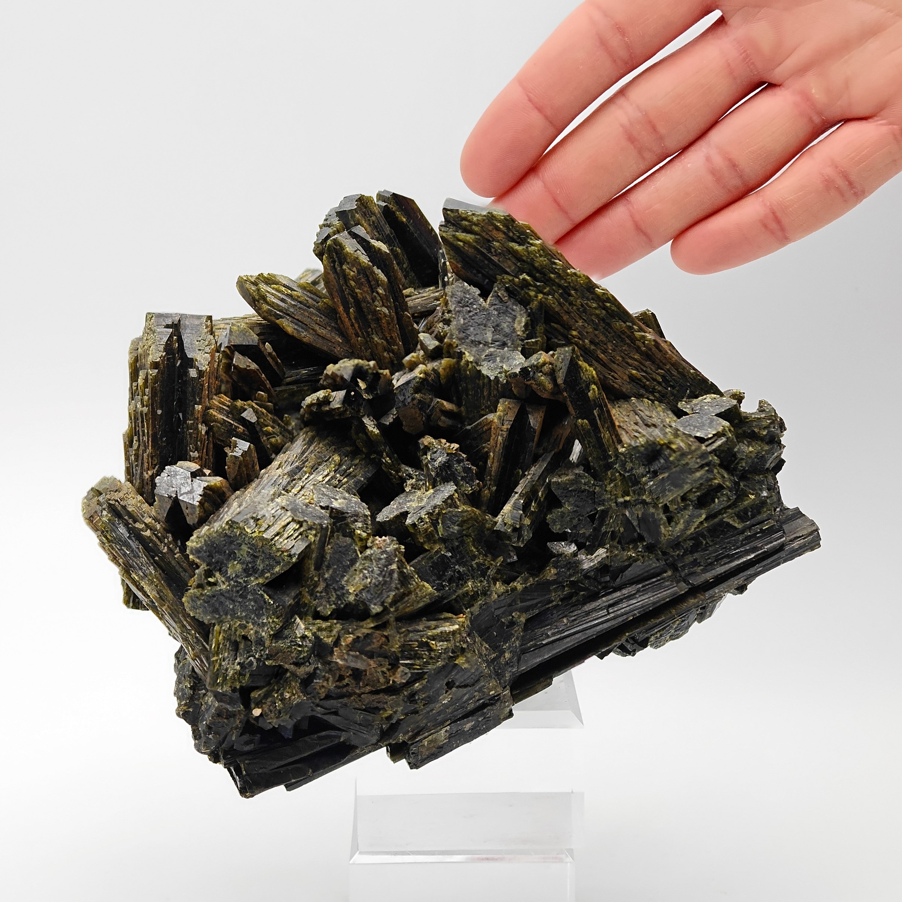 EPIDOTE  – Giant Lance Shaped Crystals from Quetta, Pakistan