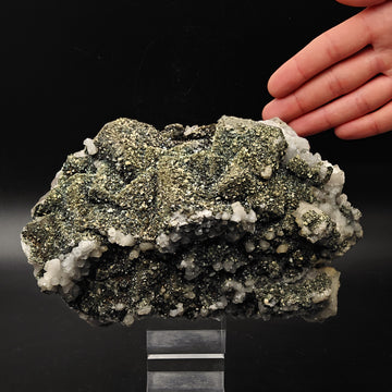 MARCASITE & FLUORITE – Golden Crystals on Cubes, Silius, Sardinia, Italy