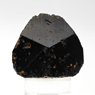 Front view of black uvite crystal showing sharp prismatic faces, Brumado, Brazil
