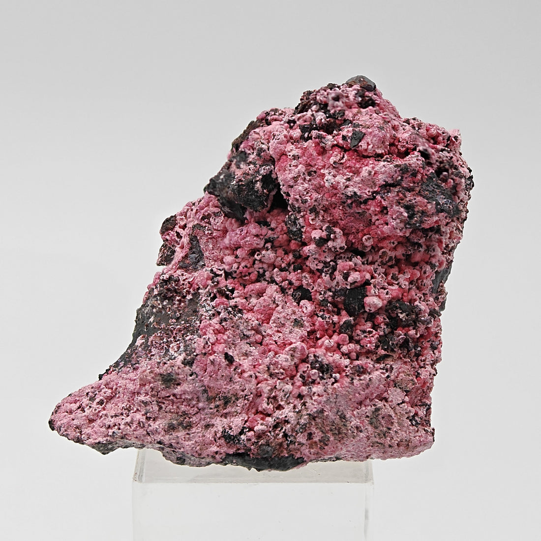 COBALTOKORITNIGITE – Red and Pink Botryoidal crystals from Bou Azzer, Morocco