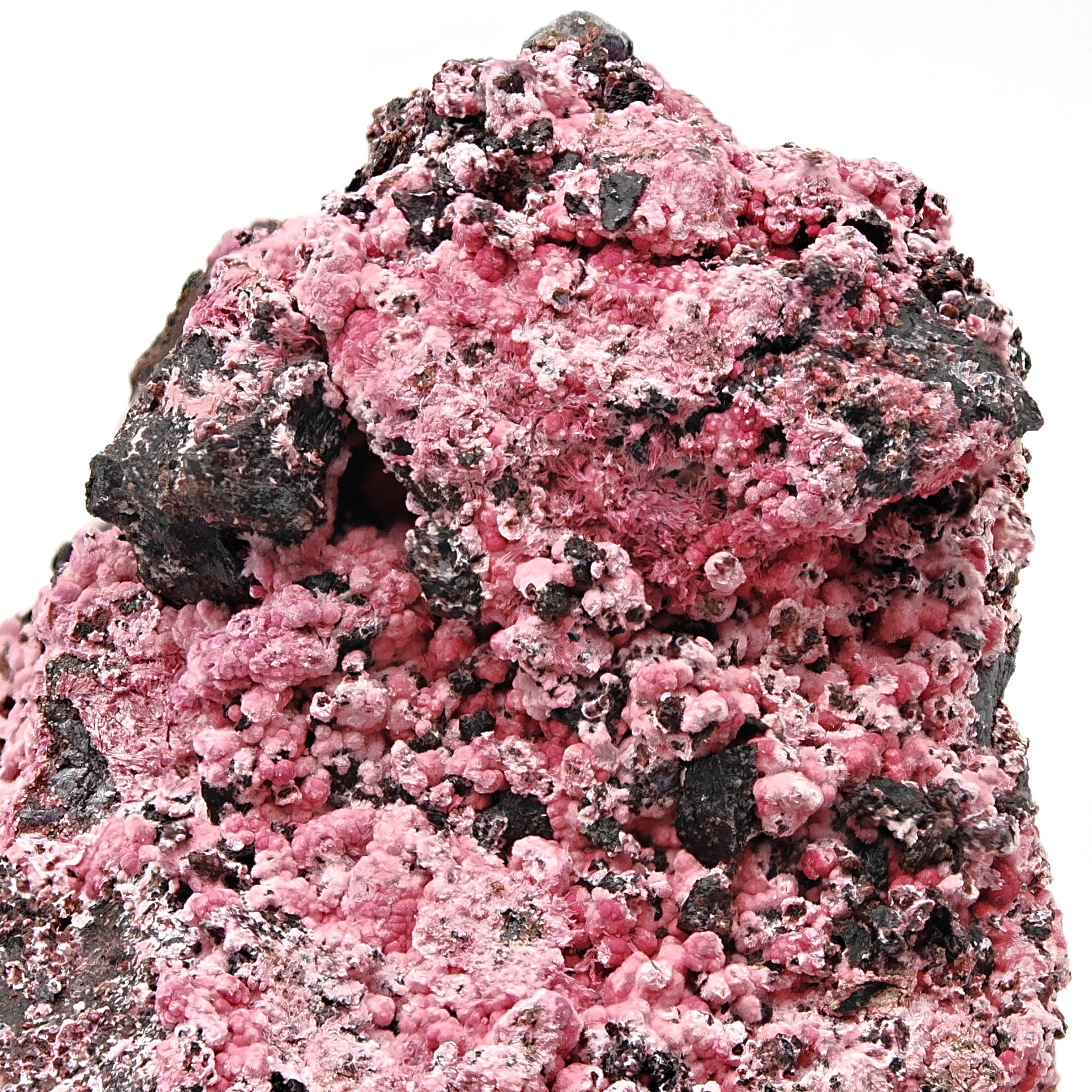 COBALTOKORITNIGITE – Red and Pink Botryoidal crystals from Bou Azzer, Morocco