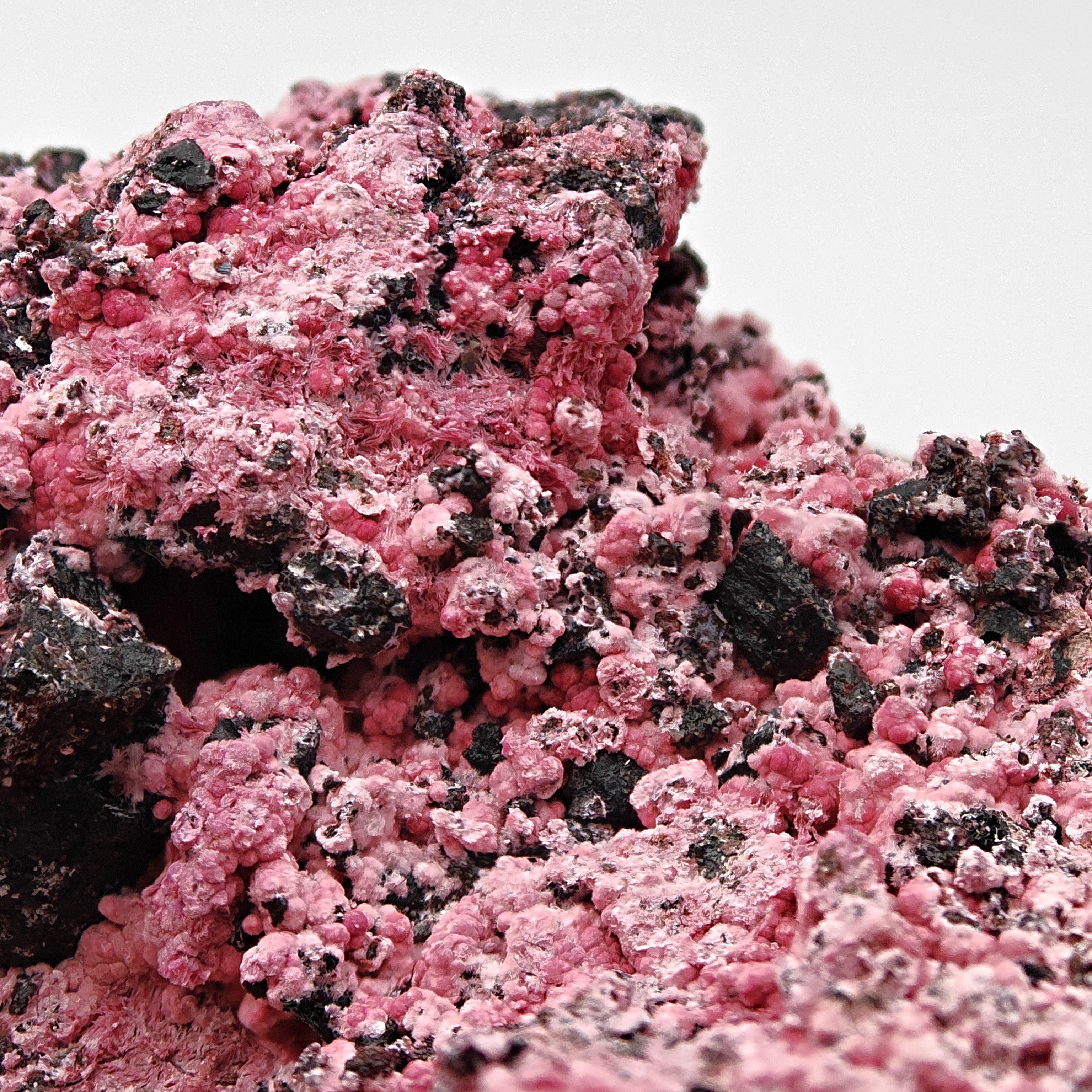 COBALTOKORITNIGITE – Red and Pink Botryoidal crystals from Bou Azzer, Morocco