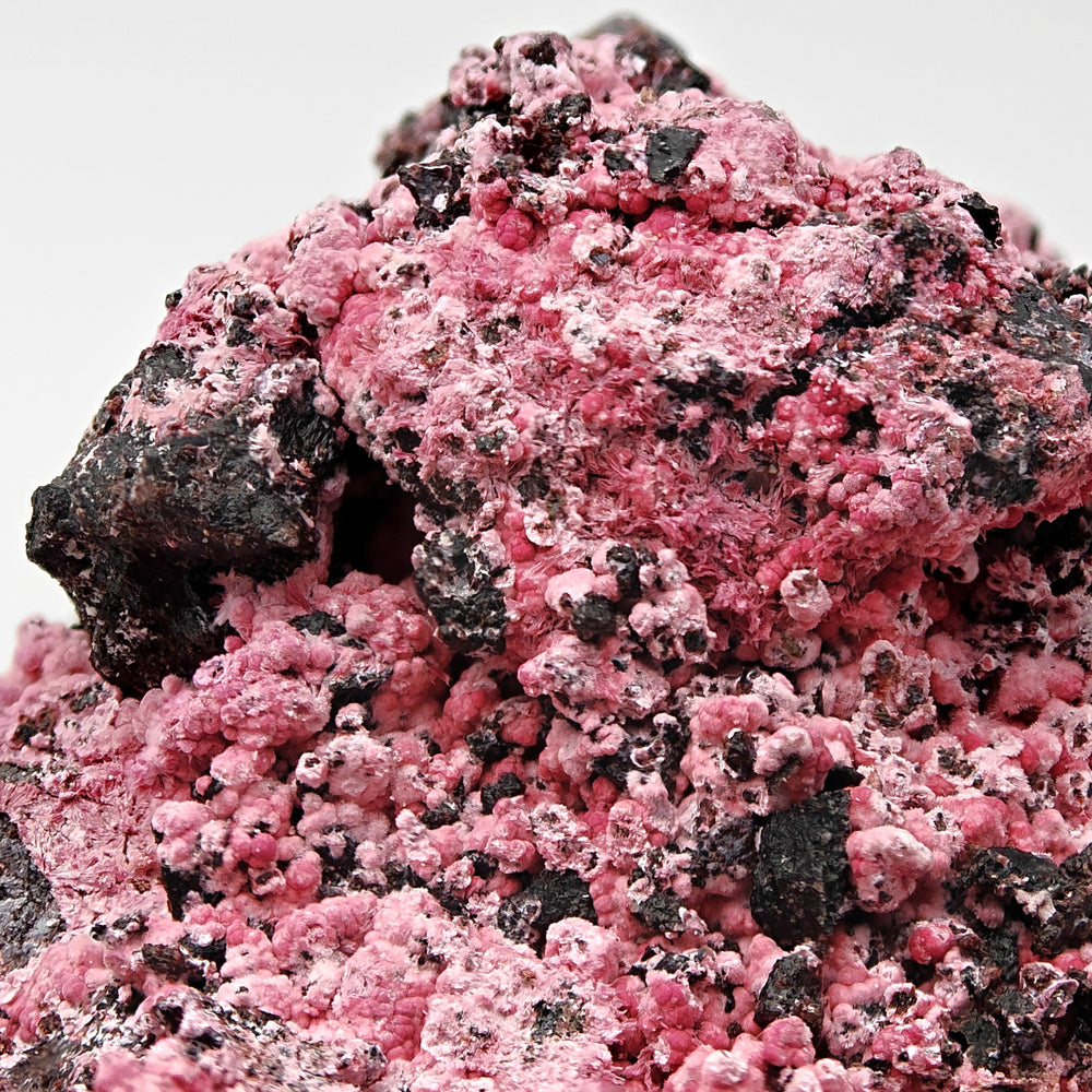 COBALTOKORITNIGITE – Red and Pink Botryoidal crystals from Bou Azzer, Morocco