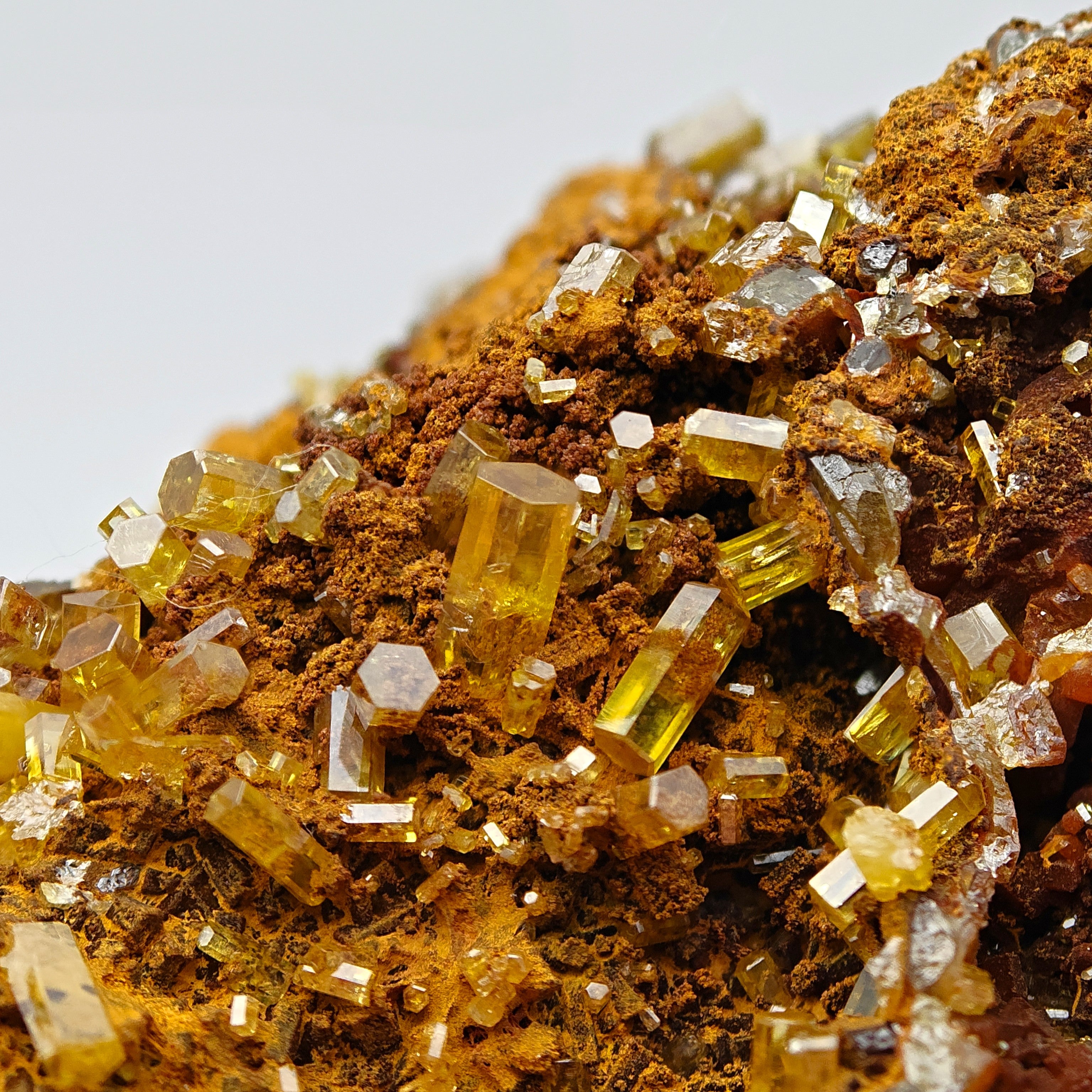 MIMETITE – Numerous Yellow Transparent Crystals, Hat Yai, Thailand