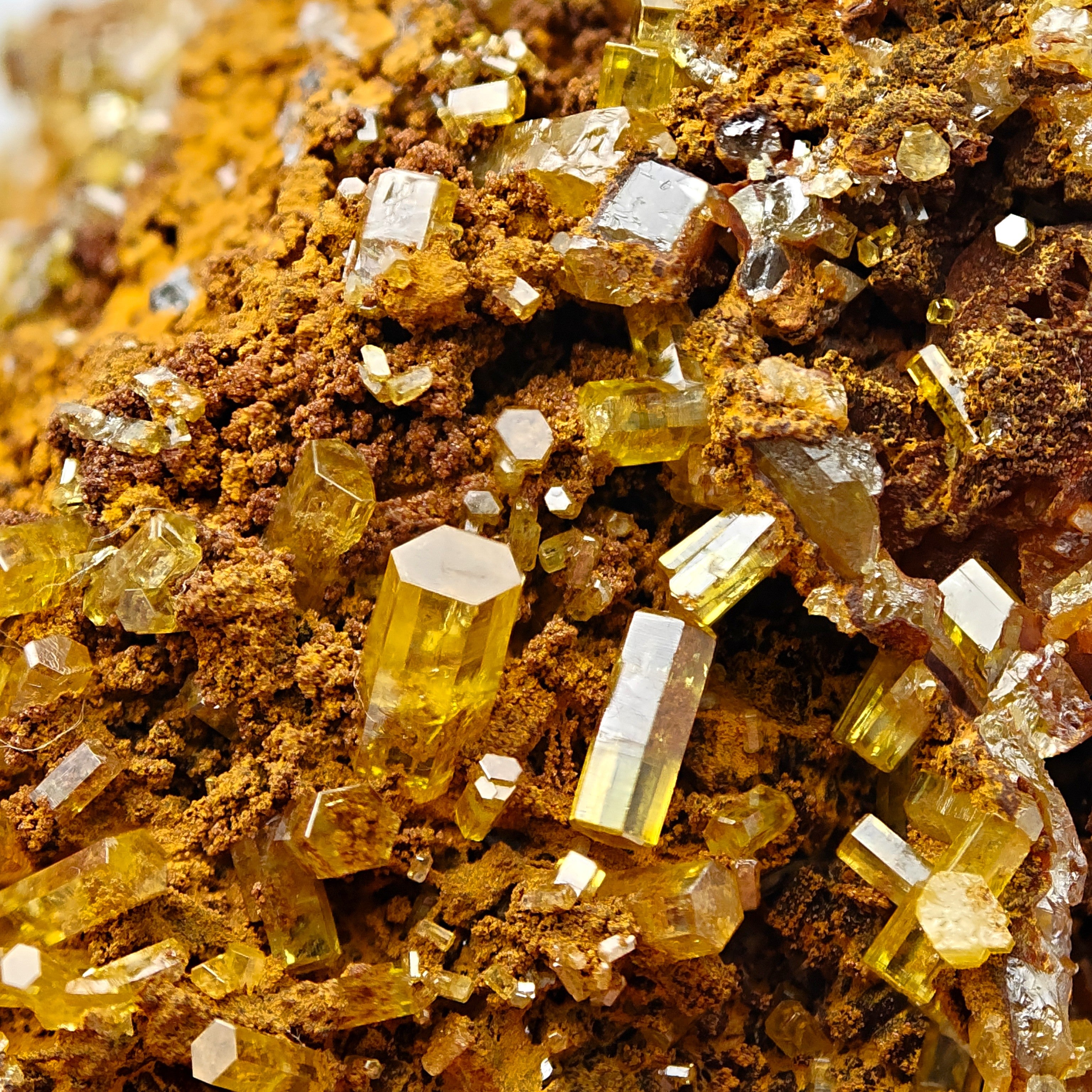 MIMETITE – Numerous Yellow Transparent Crystals, Hat Yai, Thailand