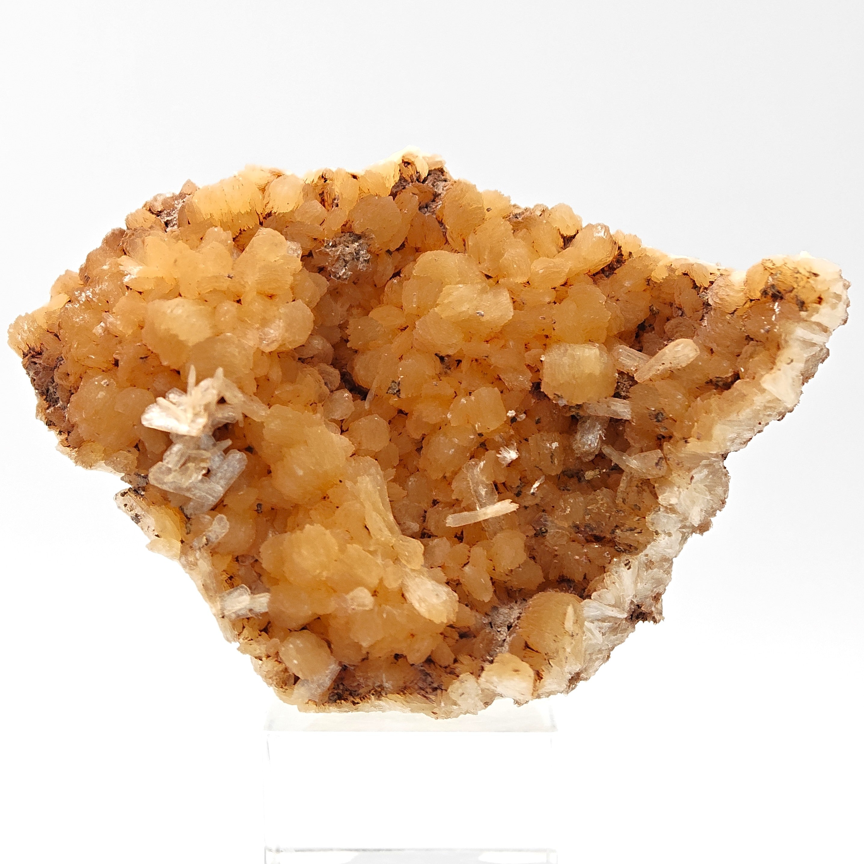 STILBITE – Lustrous Golden Sheaf Crystals, Wasson's Bluff, Nova Scotia, Canada
