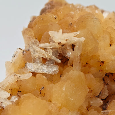 Stilbite specimen detail highlighting sheaf-shaped crystal growth, Bay of Fundy, Canada
