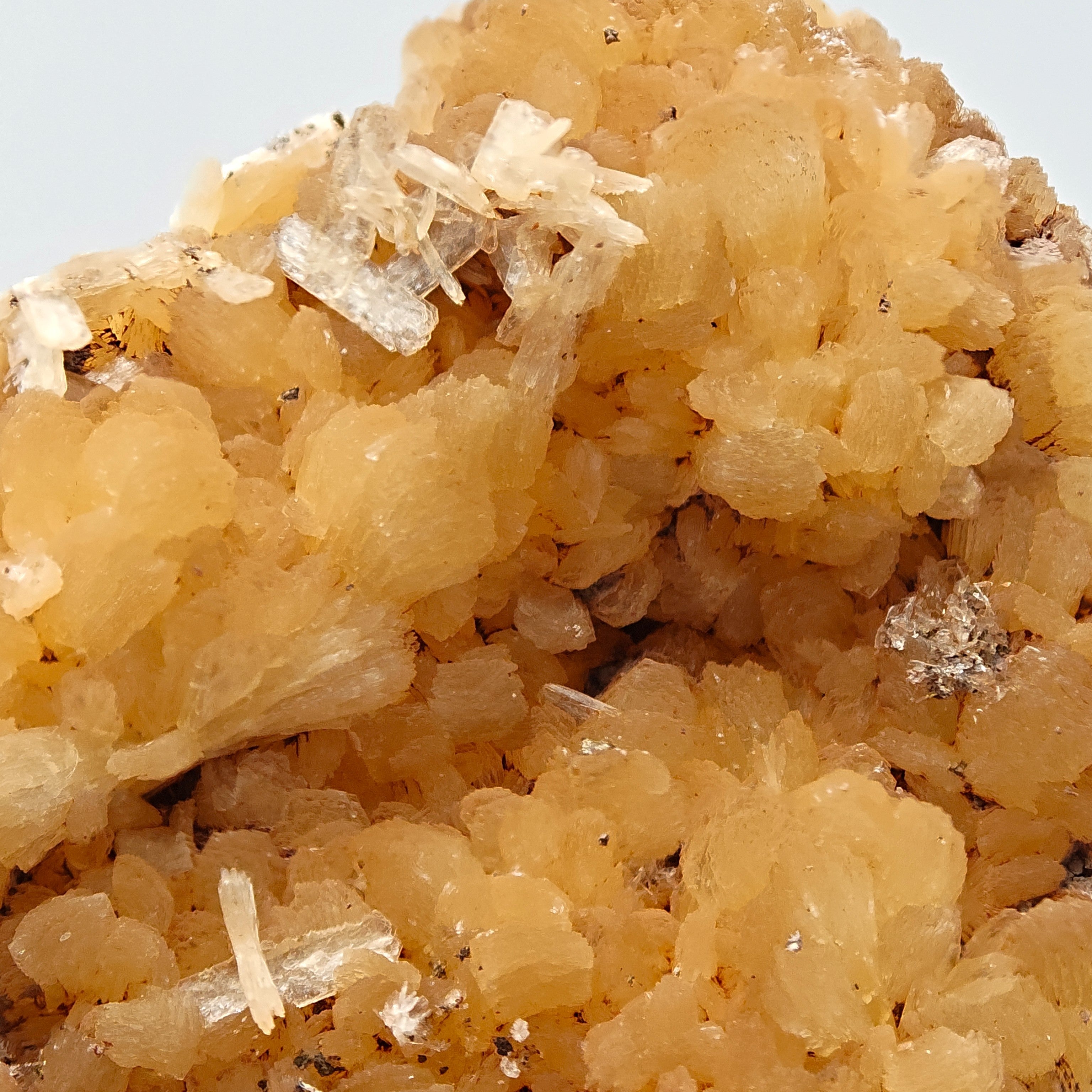 STILBITE – Lustrous Golden Sheaf Crystals, Wasson's Bluff, Nova Scotia, Canada