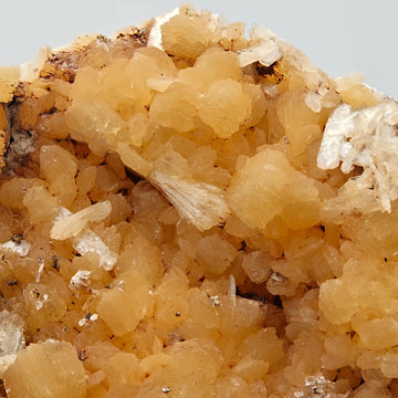 STILBITE – Lustrous Golden Sheaf Crystals, Wasson's Bluff, Nova Scotia, Canada
