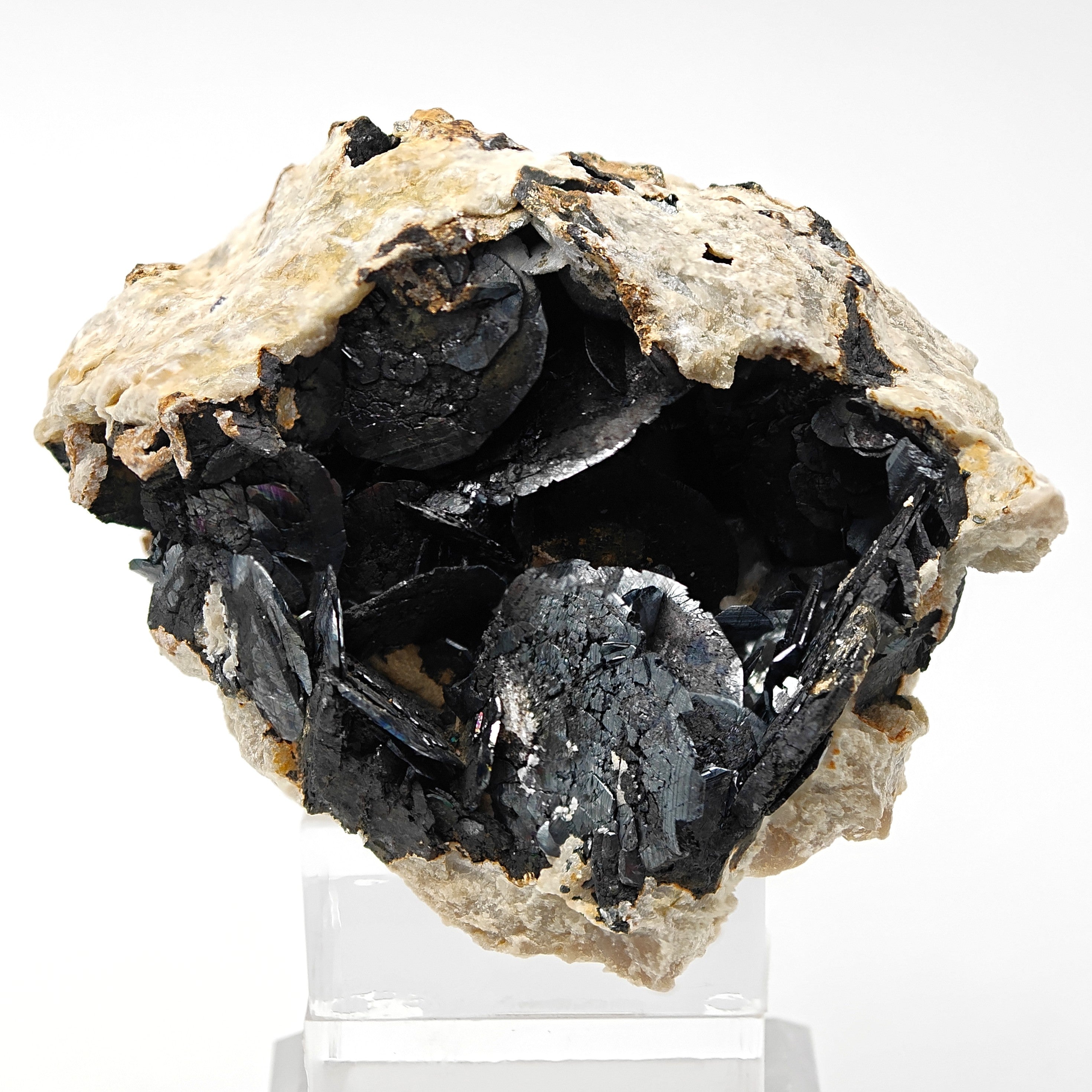 HEMATITE with MAGNETITE – Rare Lustrous Crystals on Talc, Sardinia, Italy
