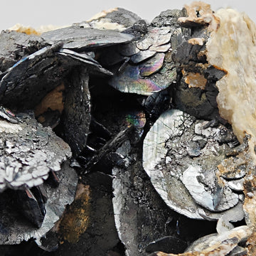 HEMATITE with MAGNETITE – Rare Lustrous Crystals on Talc, Sardinia, Italy