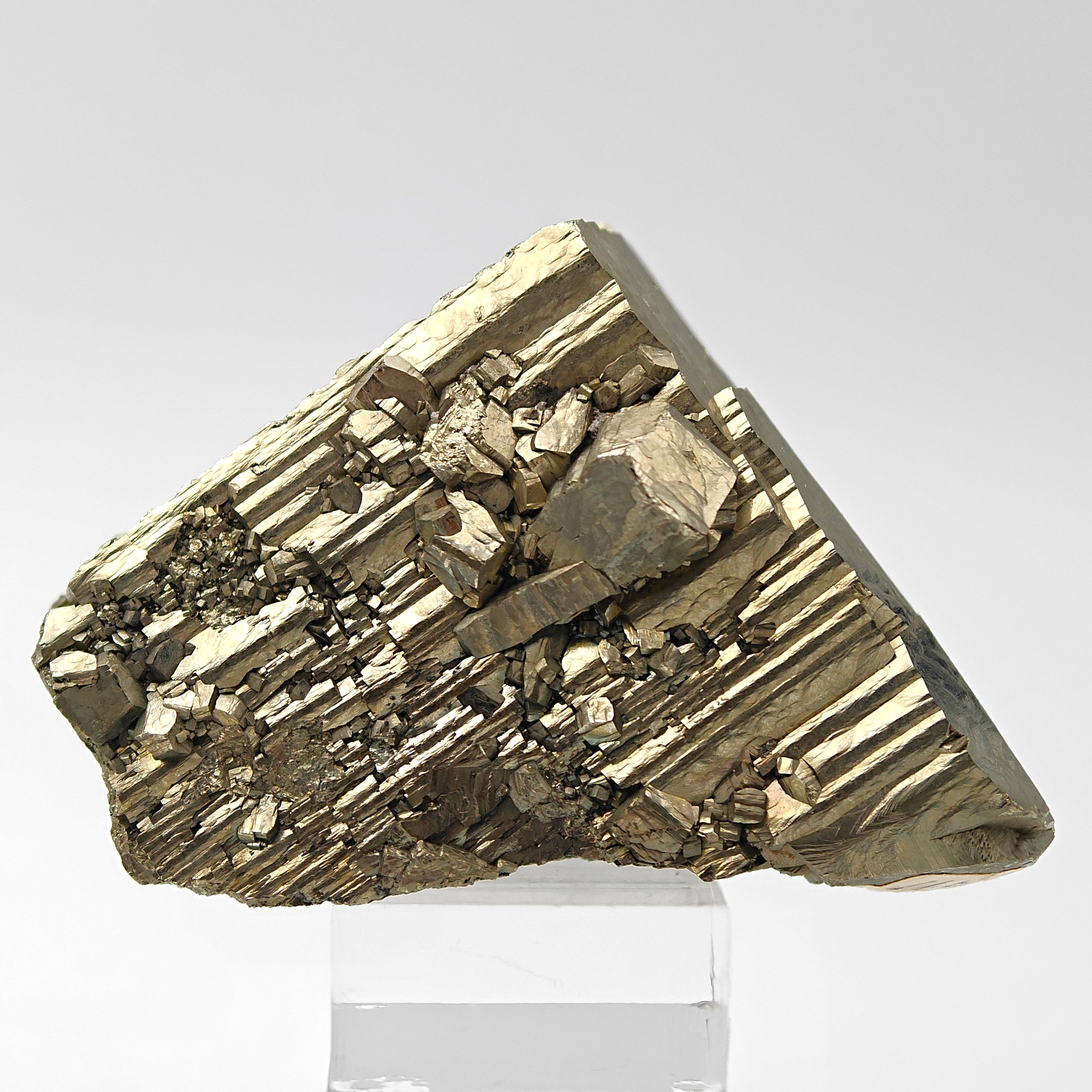 PYRITE – Large Golden Striated Crystal, Niccioleta Mine, Italy