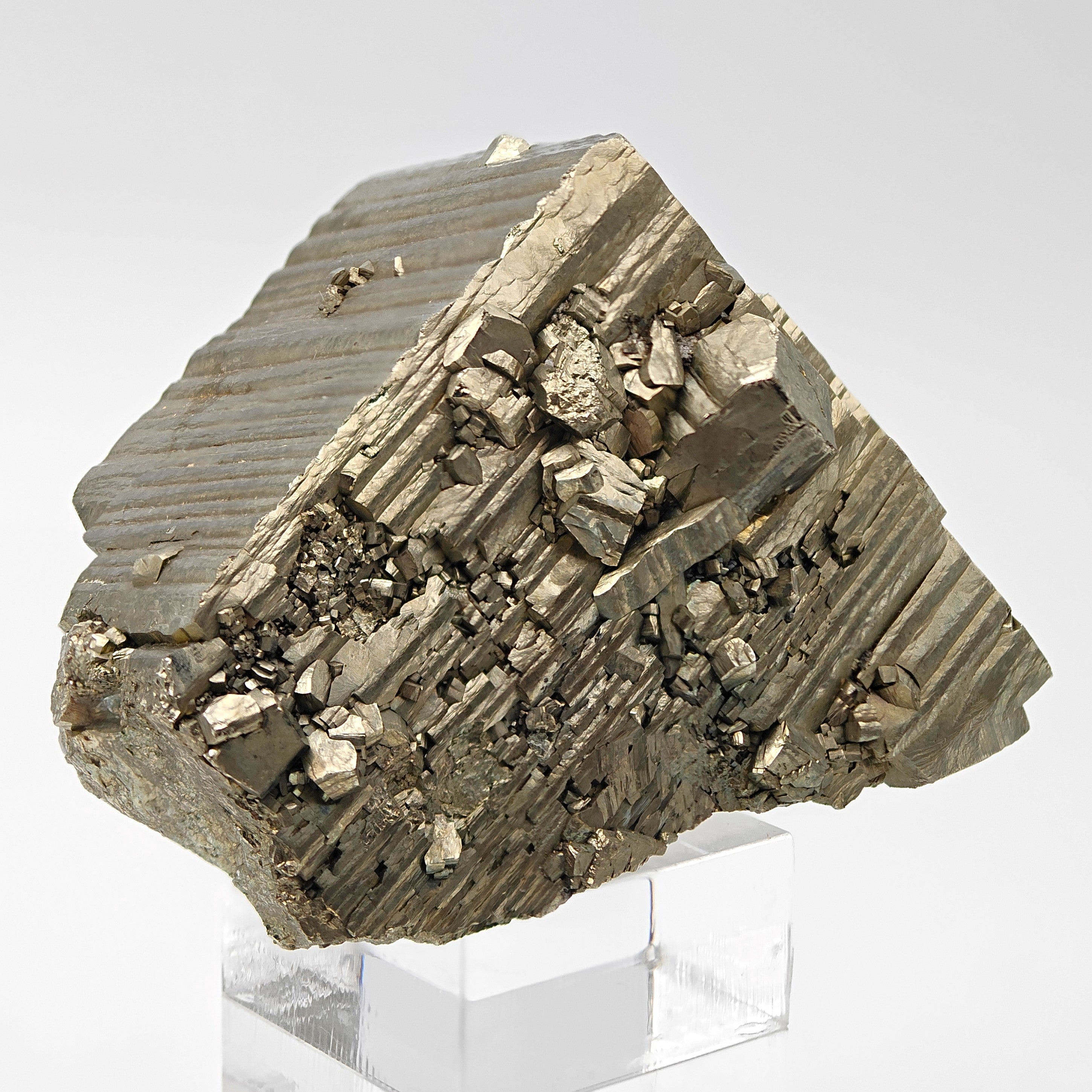 PYRITE – Large Golden Striated Crystal, Niccioleta Mine, Italy