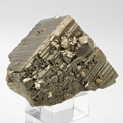 Angled view of pyrite specimen with cluster of small cubic crystals, Niccioleta Mine