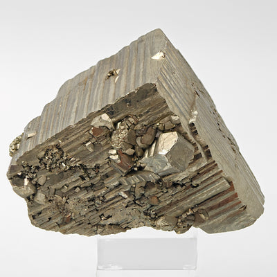 Side view of golden pyrite crystal with striated faces and crystal cluster, Niccioleta Mine