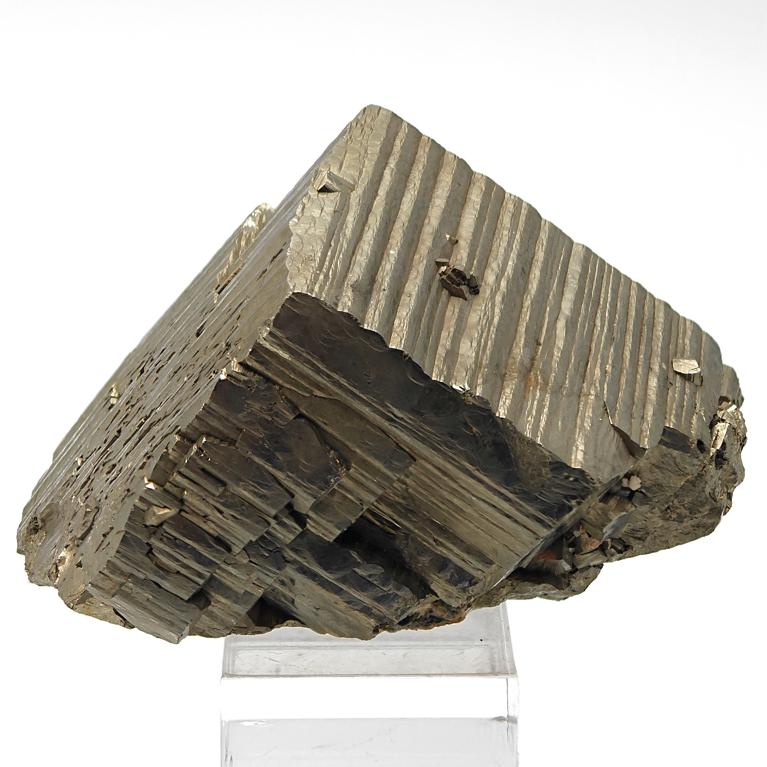 PYRITE – Large Golden Striated Crystal, Niccioleta Mine, Italy