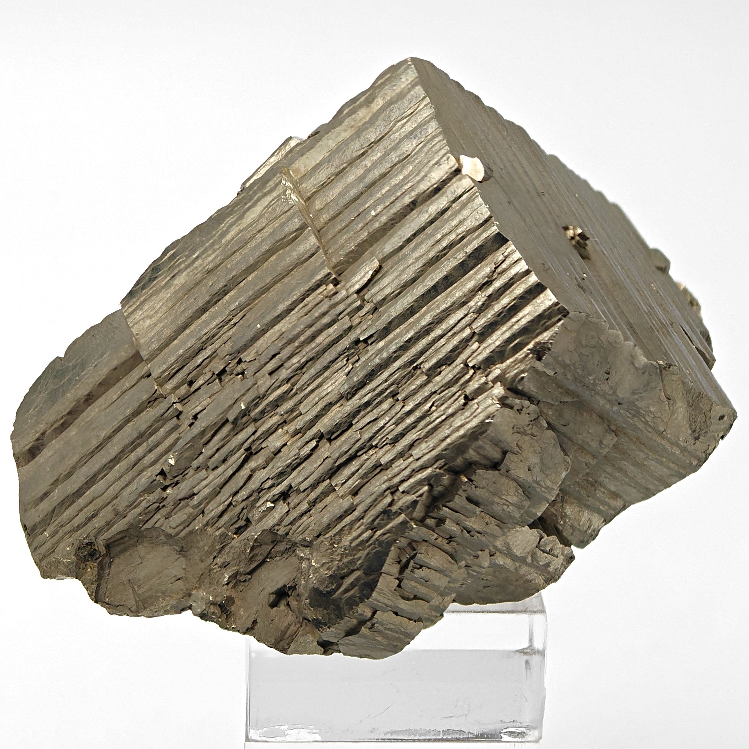 PYRITE – Large Golden Striated Crystal, Niccioleta Mine, Italy