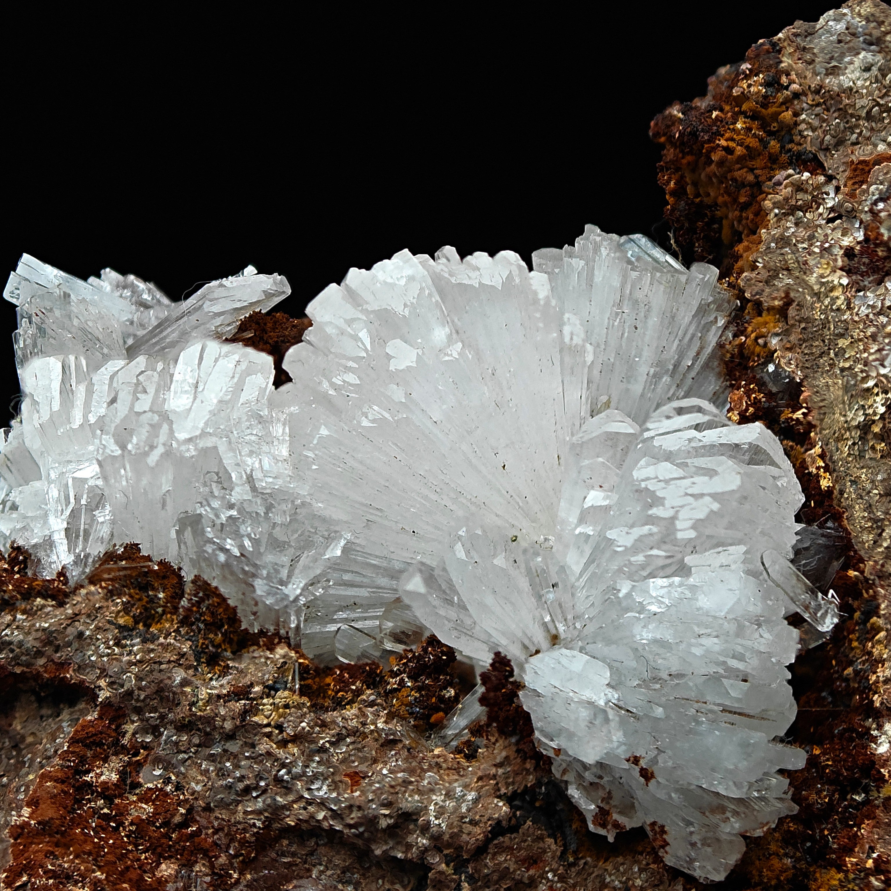 HEMIMORPHITE – Lustrous White Crystal Cluster from Ojuela Mine, Mexico