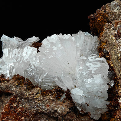 Wide view of hemimorphite crystal fans against black background, Mexico