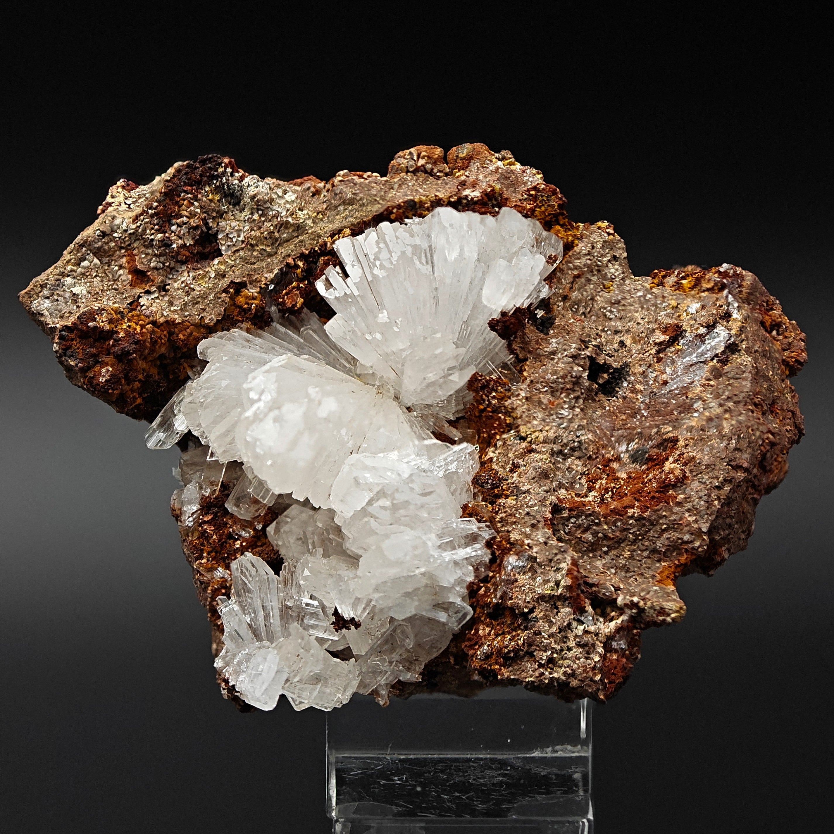 HEMIMORPHITE – Lustrous White Crystal Cluster from Ojuela Mine, Mexico
