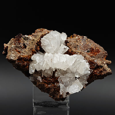 Hemimorphite specimen on display stand showing multiple crystal fans, Mexico