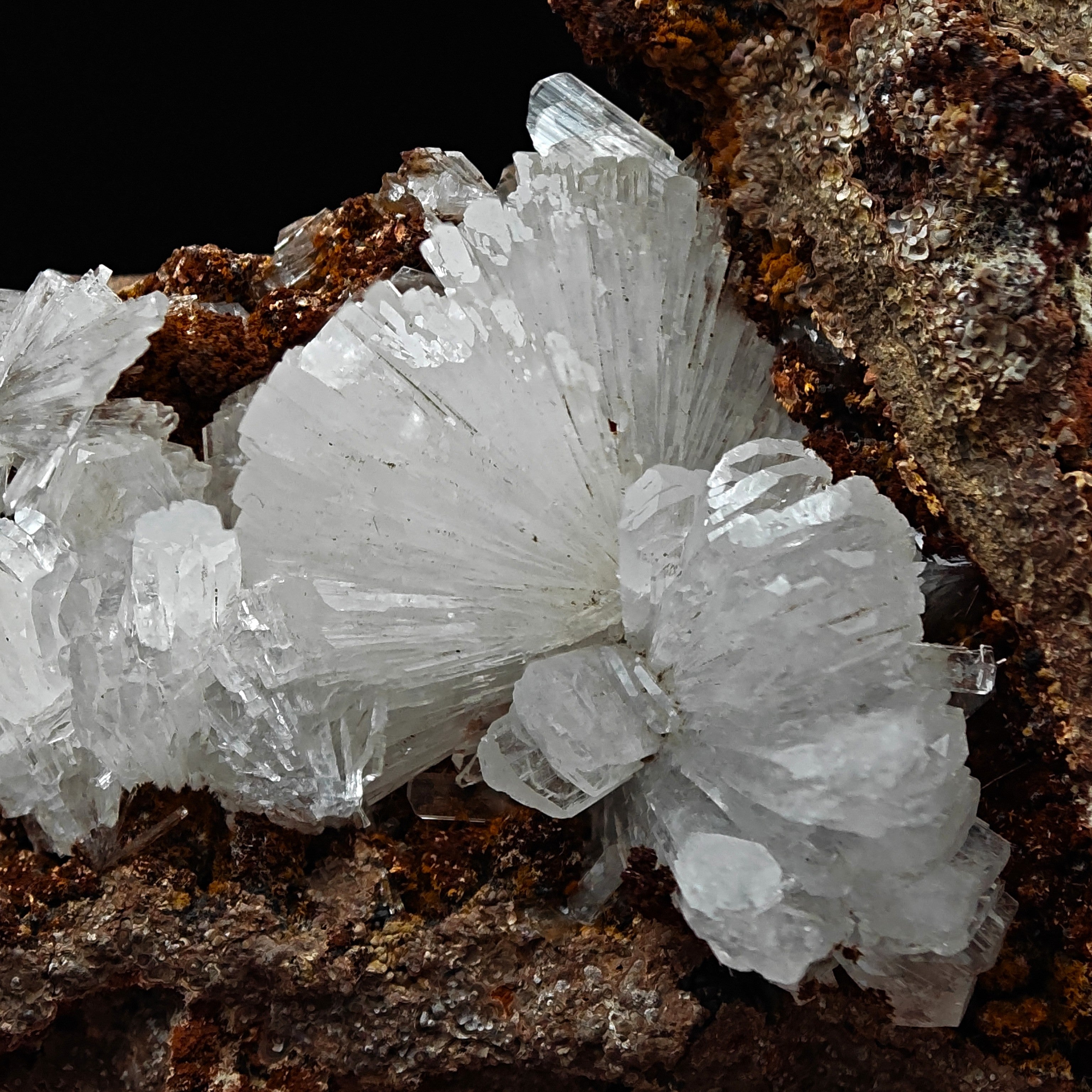 HEMIMORPHITE – Lustrous White Crystal Cluster from Ojuela Mine, Mexico