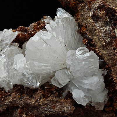Close-up of translucent hemimorphite blades on iron-stained matrix, Mexico