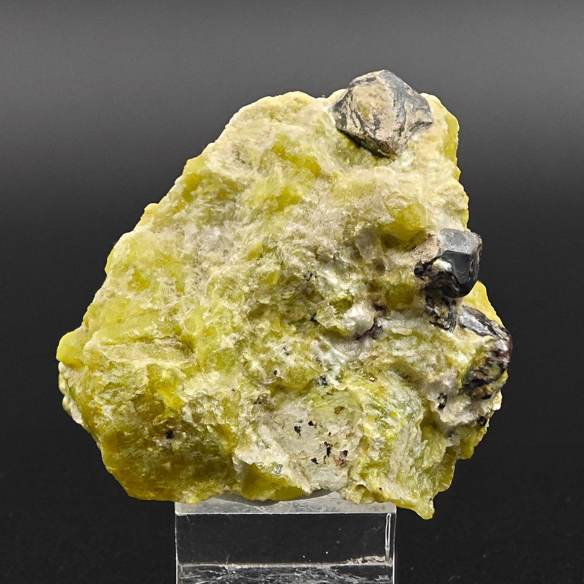 Full view of Martite and Lizardite specimen on display stand, Snarum, Norway