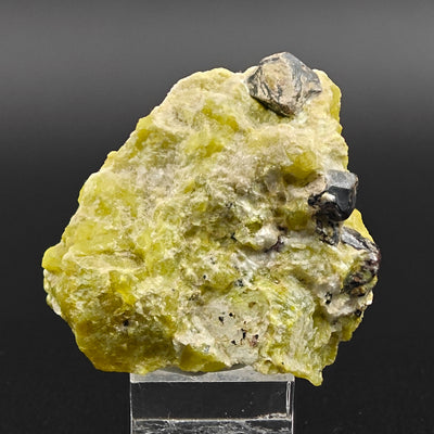 Full view of Martite and Lizardite specimen on display stand, Snarum, Norway
