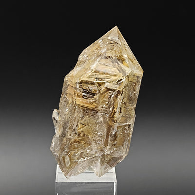 Hopper quartz crystal displaying dense reddish-brown clay inclusions, Liguria, Italy