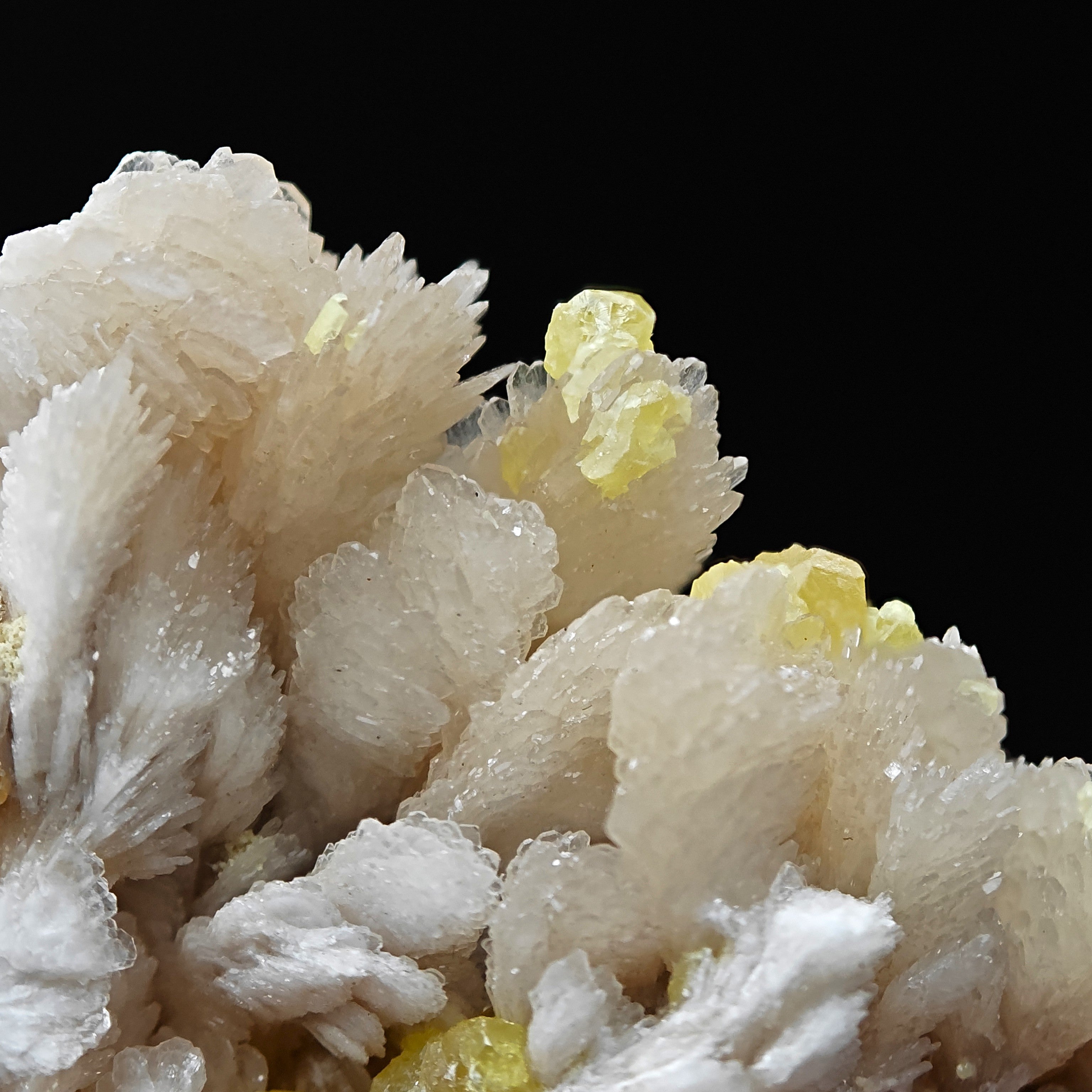 SULFUR & BARYTE – Vivid Yellow Crystals on white Baryte, Machów, Poland